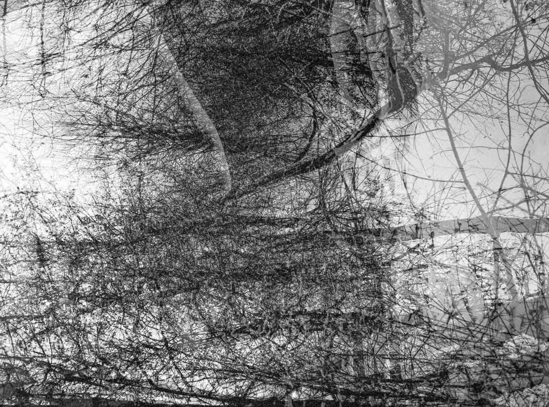 Photographie : Marie-Eve Dion