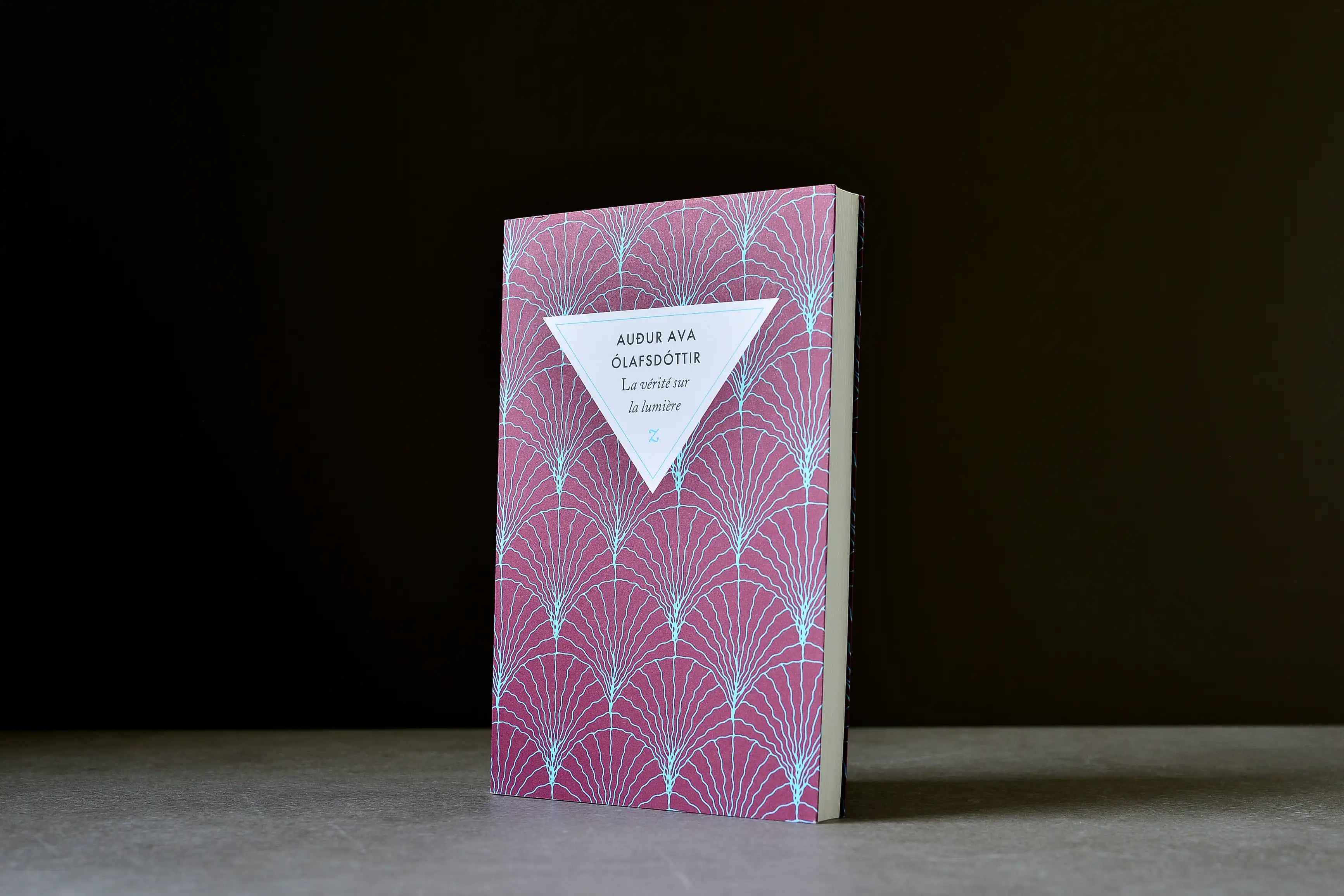 Ólafsdóttir, Audur Ava - La vérité sur la lumière - Zulma - 9791038700642 - Très bon - livre usagé