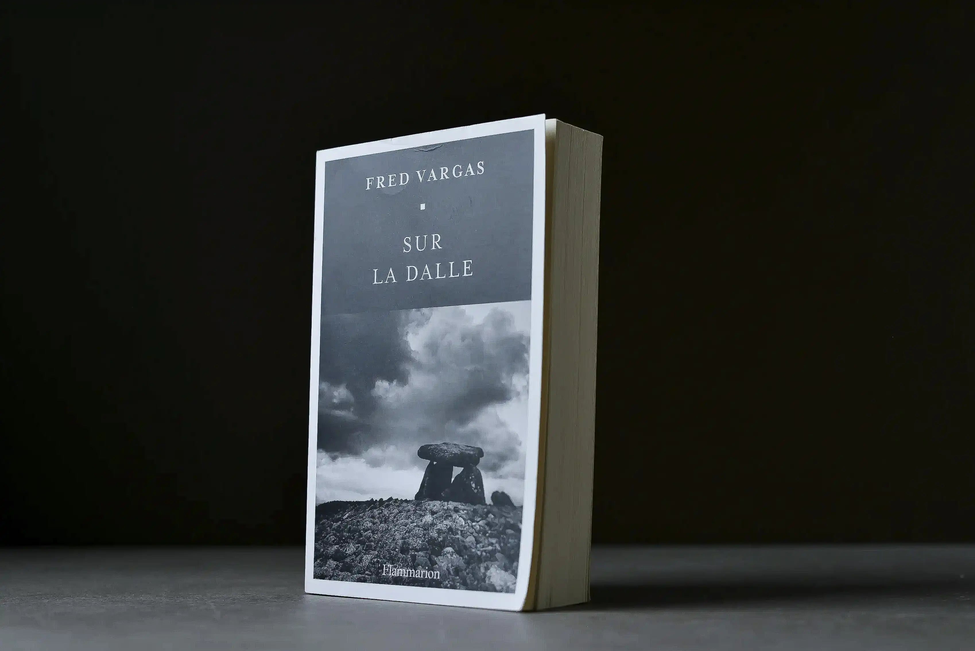 Vargas, Fred - Sur la dalle - Flammarion - 9782080420503 - Bon+ - livre usagé
