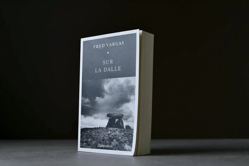 Vargas, Fred - Sur la dalle - Flammarion - 9782080420503 - Bon+ - livre usagé