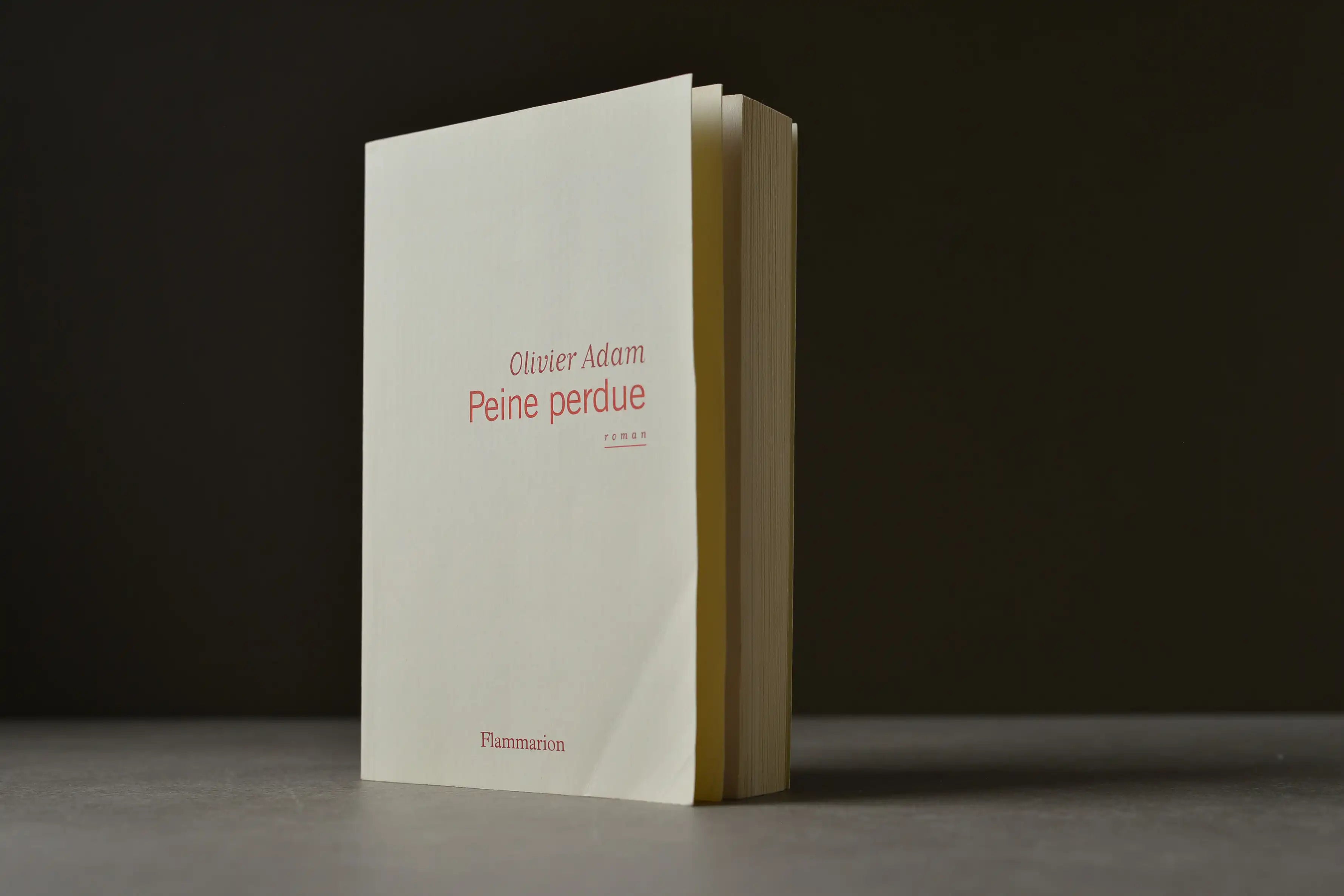 Adam, Olivier - Peine perdue - Flammarion - 9782081314214 - Très bon -  livre usagé