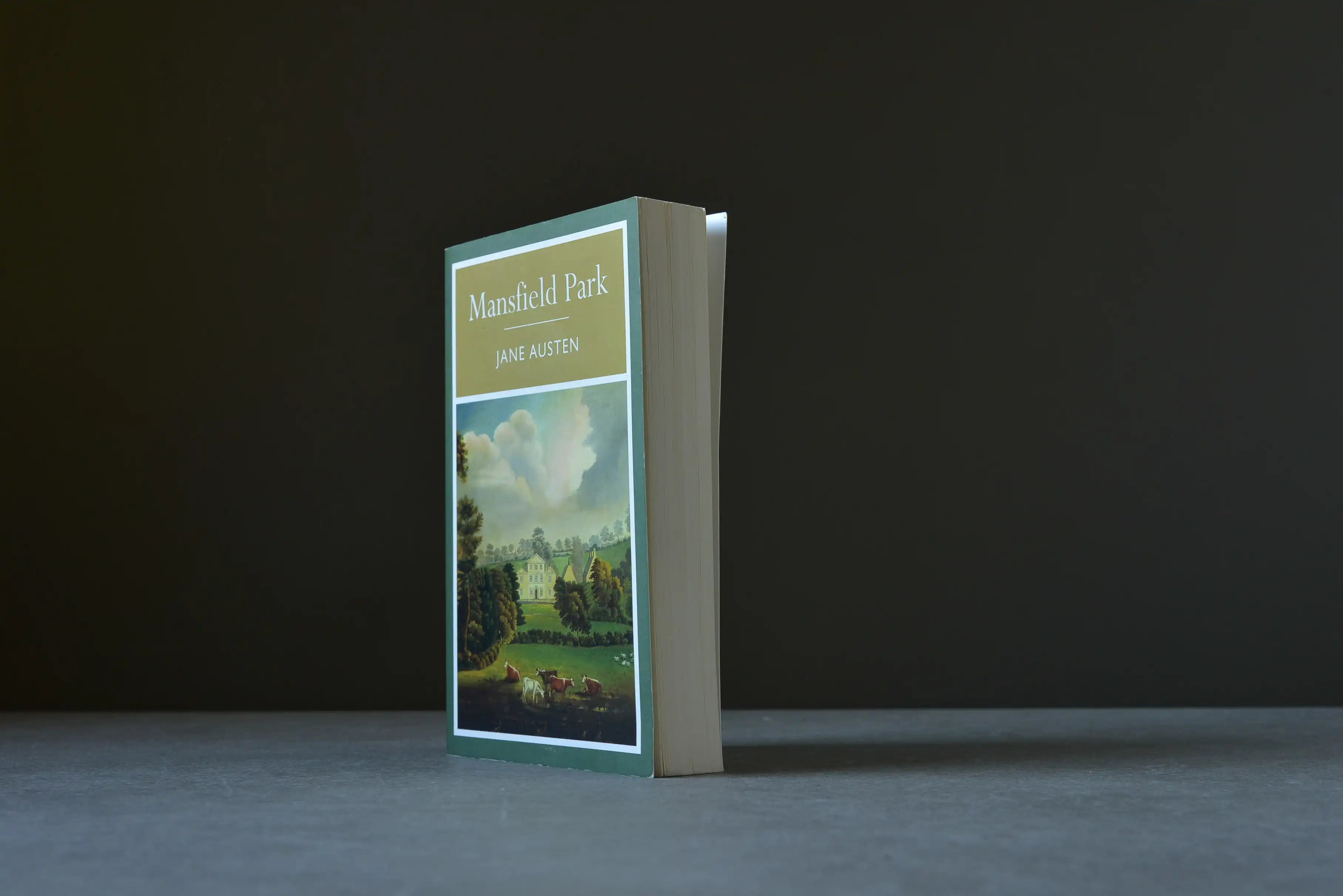 Austen, Jane - Mansfield Park - Arcturus - 9781848373112 - Très bon -  livre usagé