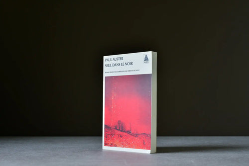 Auster, Paul - Seul dans le noir - Babel - 9782742794584 - Bon - livre usagé