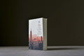 Auster, Paul - Trilogie new-yorkaise - Babel - 9782330081720 - Bon - livre usagé