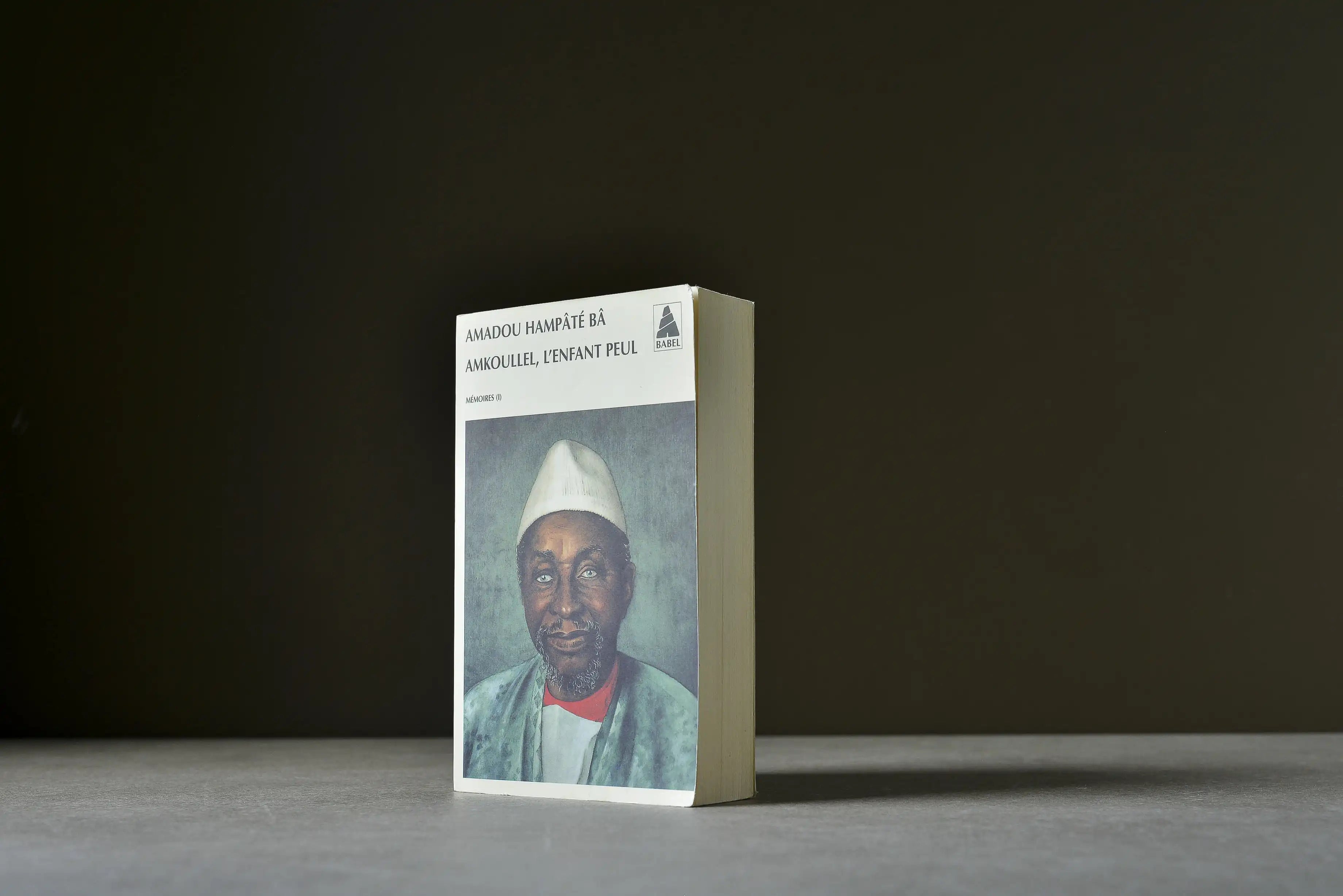 Bâ, Amadou Hampâté - Mémoires T.1 : Amkoullel, l'enfant peul - Babel - 9782868699060 - Satisfaisant -  livre usagé