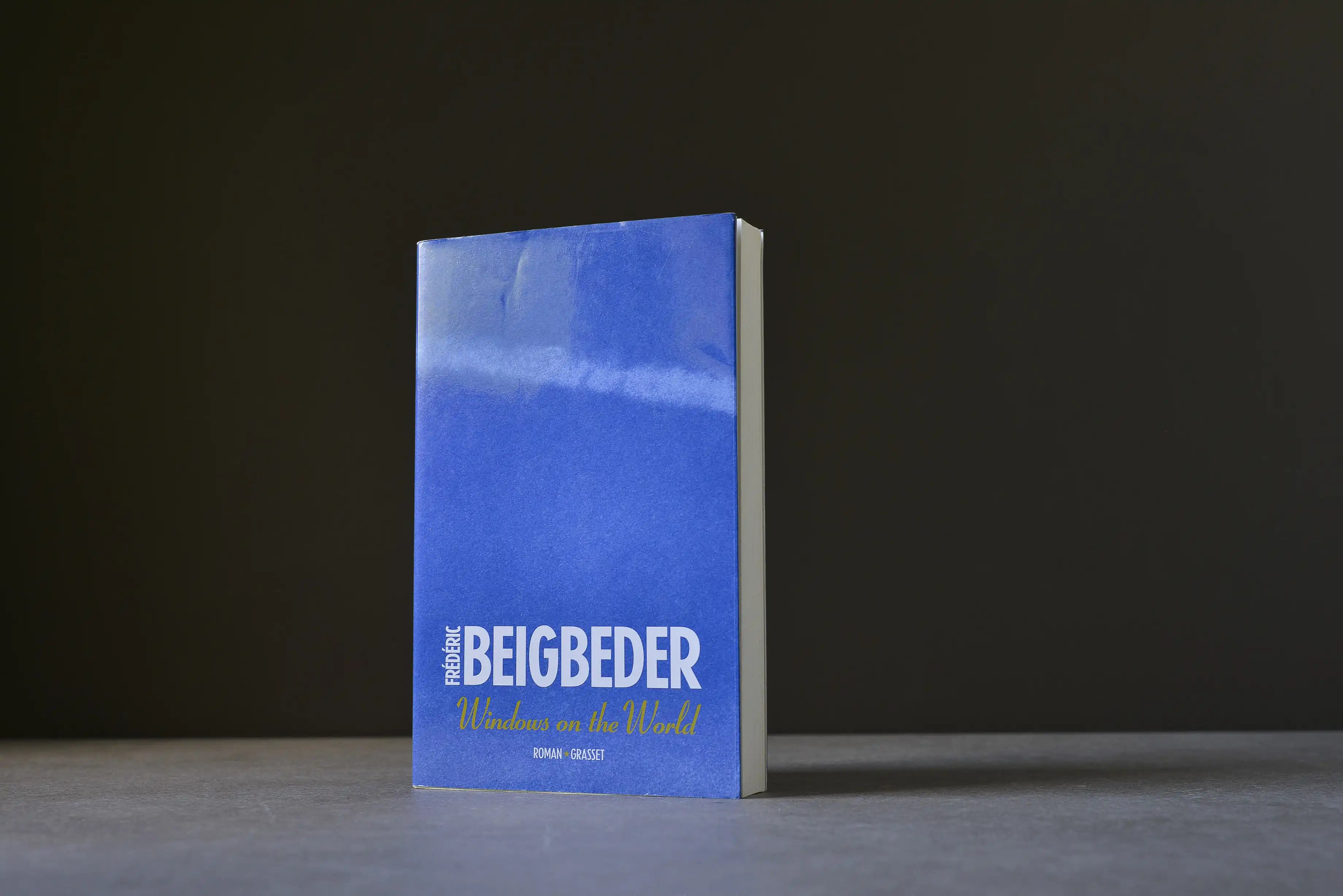 Beigbeder, Frédéric - WINDOWS ON THE WORLD - Grasset - 9782246633815 - Bon -  livre usagé