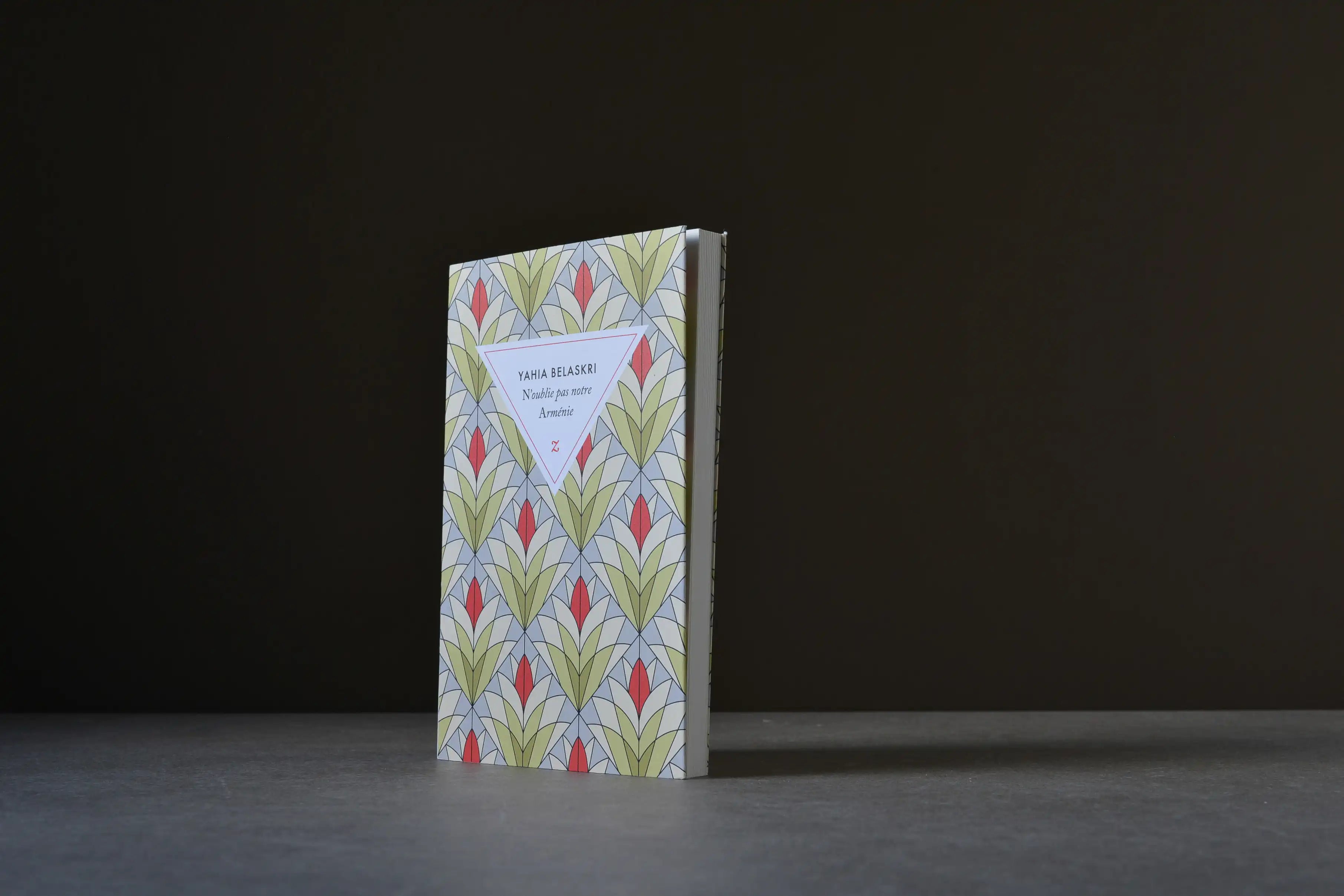 Belaskri, Yahia - N'oublie pas notre Arménie : les carnets de Maritsa - Zulma - 9791038703780 - Très bon -  livre usagé