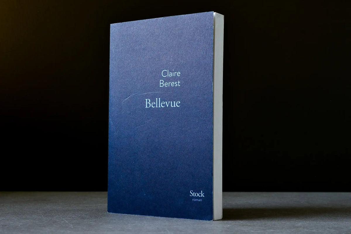 Berest, Claire - Bellevue - Stock - 9782234079755 - Bon - livre usagé