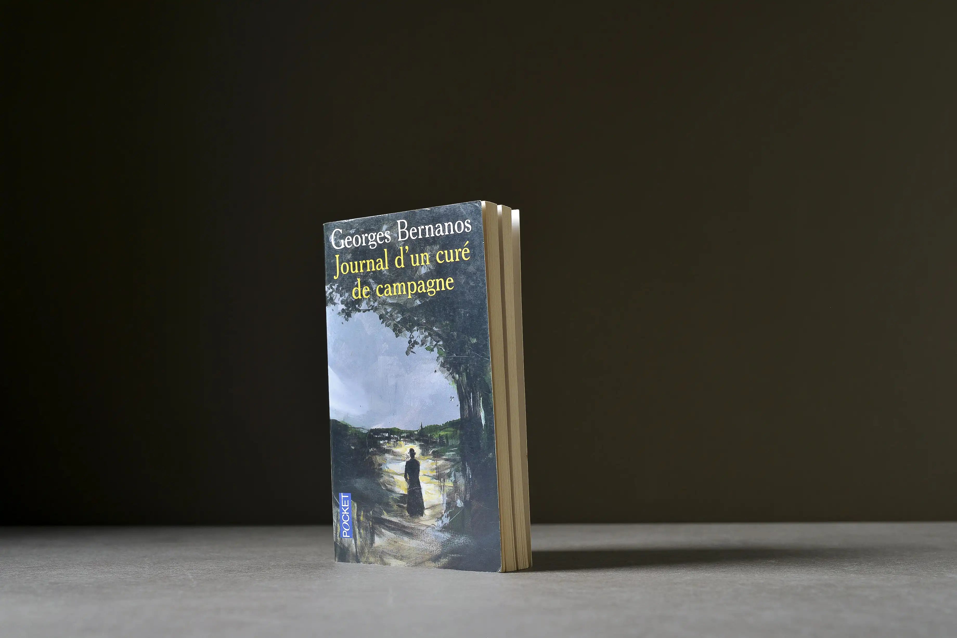 Bernanos, Georges - Journal d'un curé de campagne - Pocket - 9782266122221 - Satisfaisant -  livre usagé