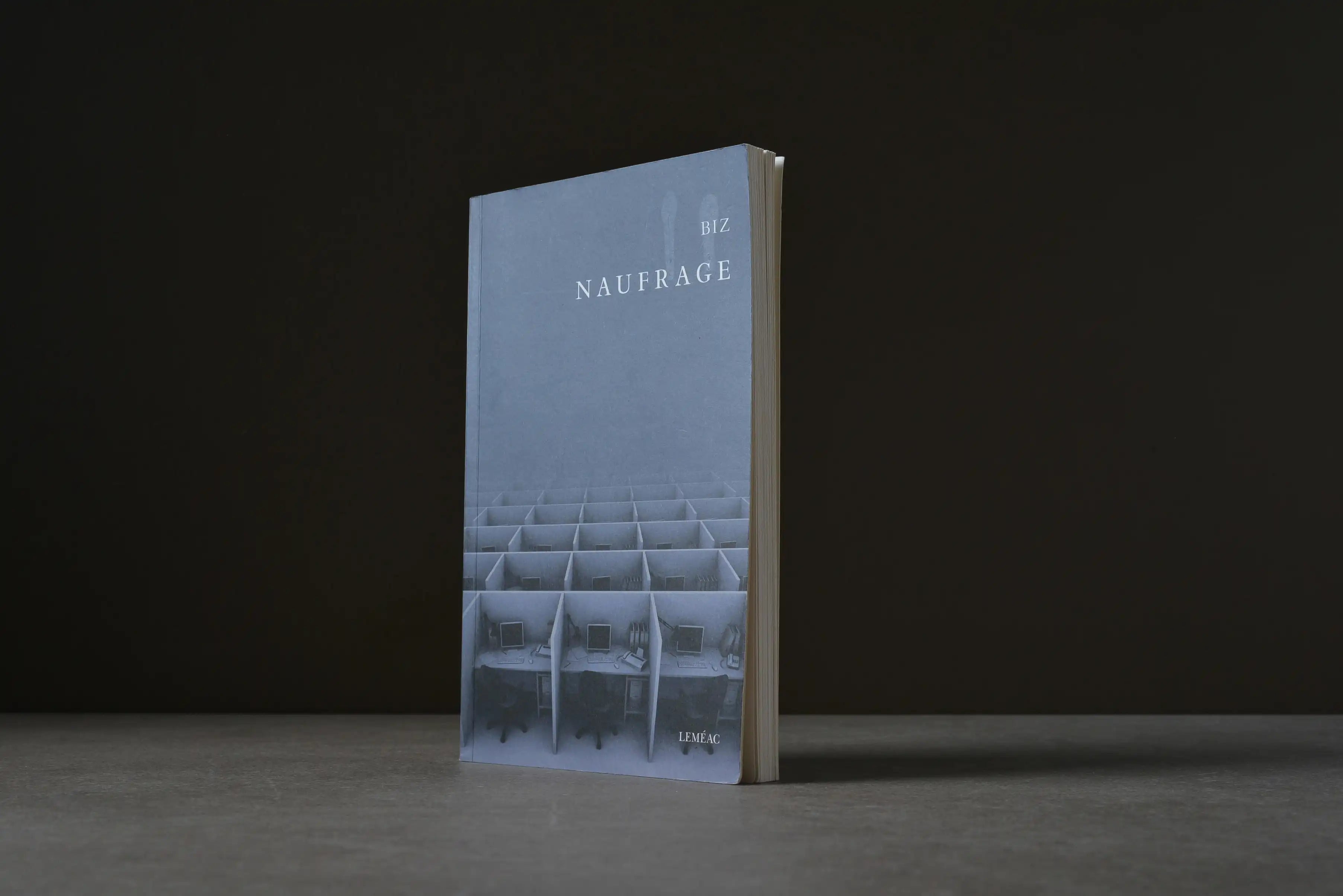 Biz - Naufrage - Léméac - 9782760947238 - Bon -  livre usagé