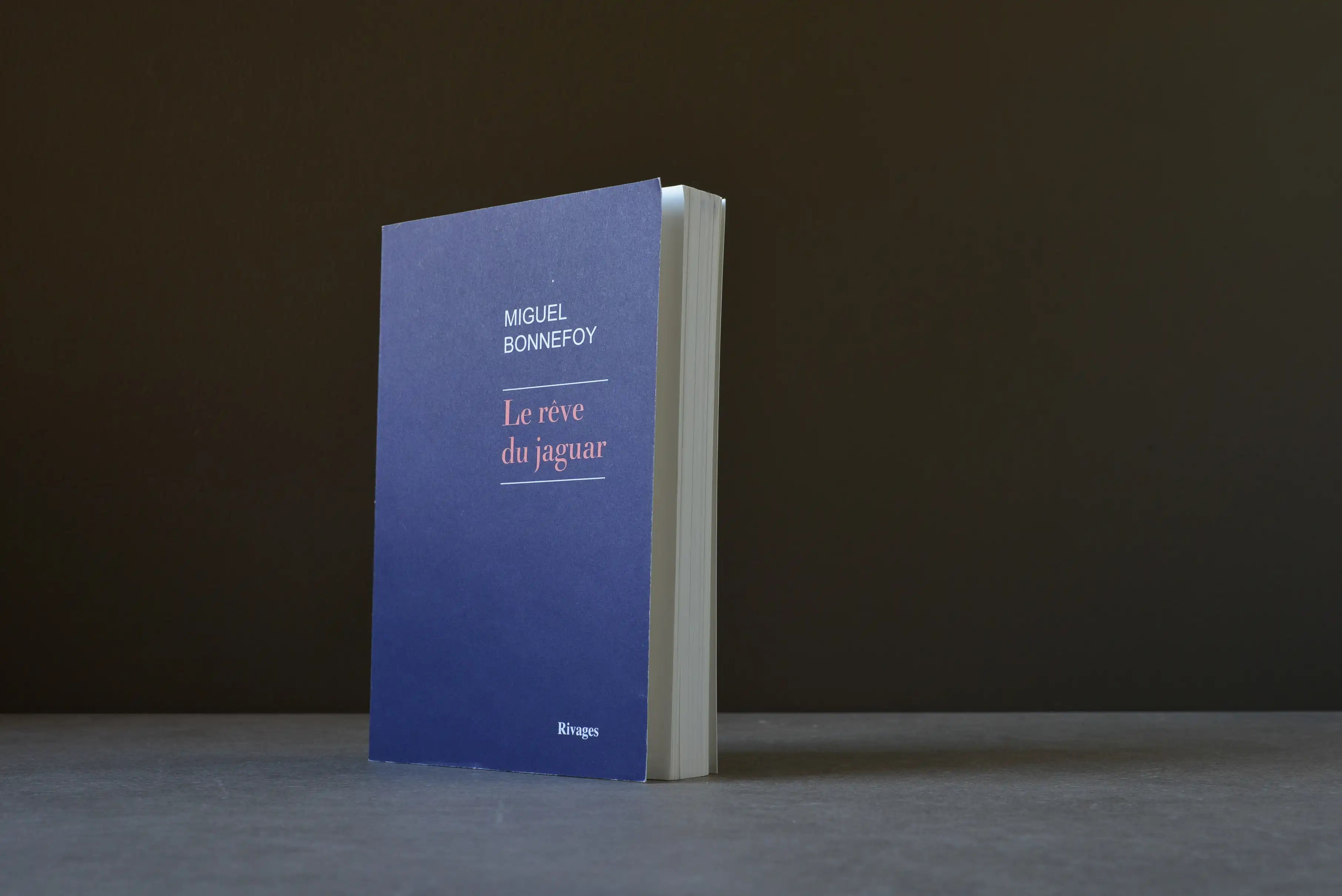 Bonnefoy, Miguel - Le Rêve du jaguar - Rivages - 9782743664060 - Bon -  livre usagé