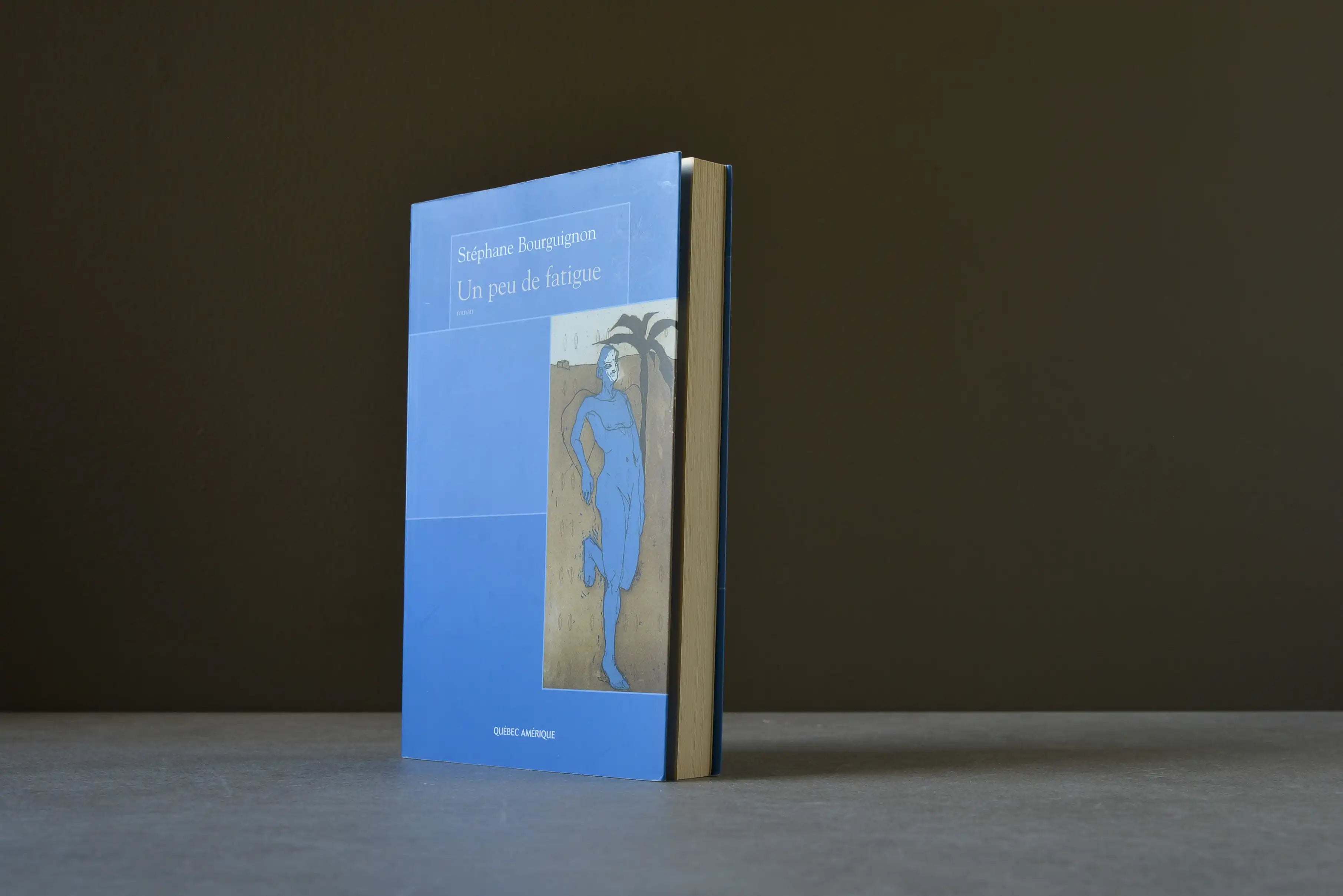 Bourguignon, Stéphane - Un peu de fatigue - Québec Amérique - 9782764401910 - Bon+ -  livre usagé