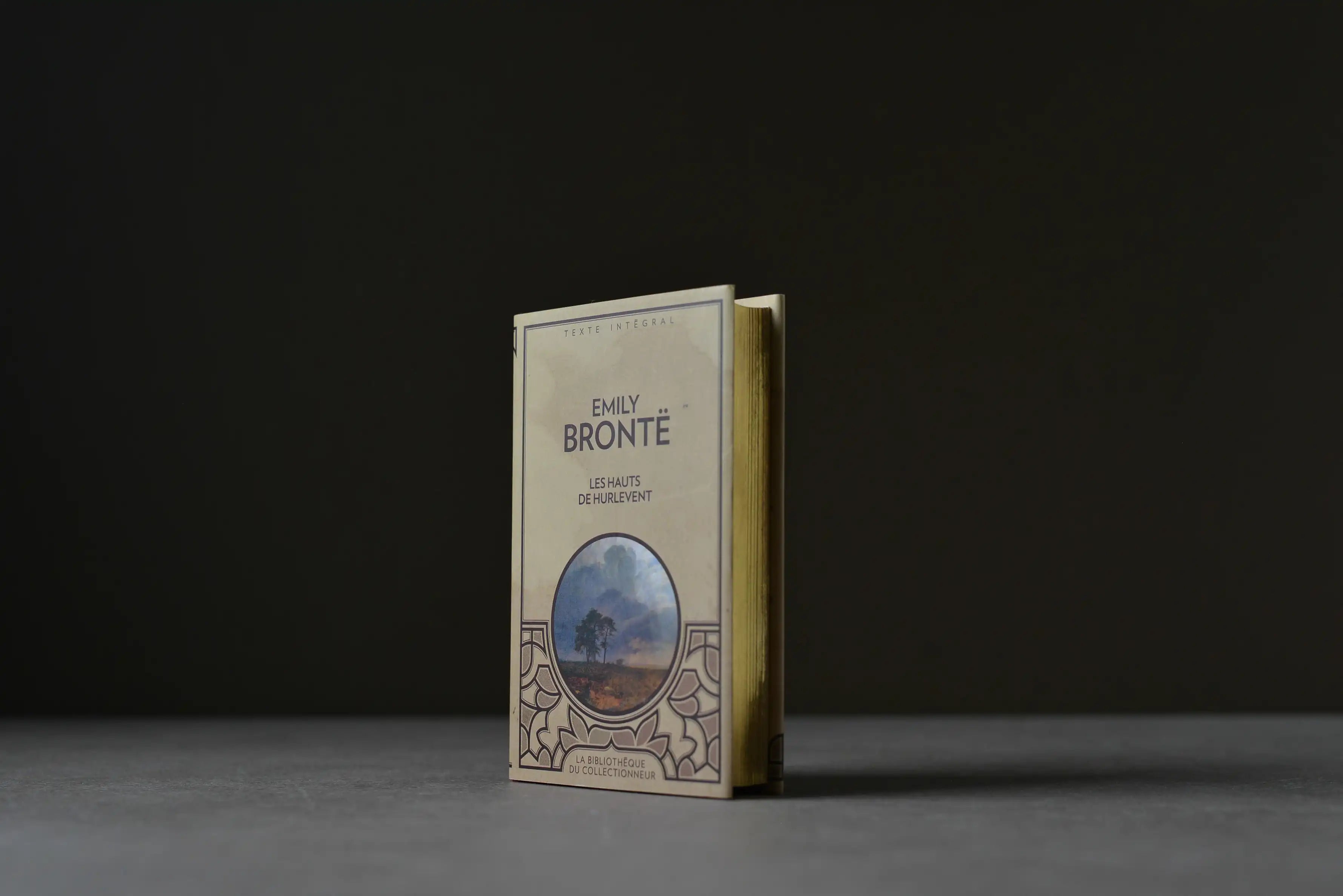 Brontë, Emily - Les Hauts de Hurle-Vent - Caractère - 9782896425587 - Très bon -  livre usagé