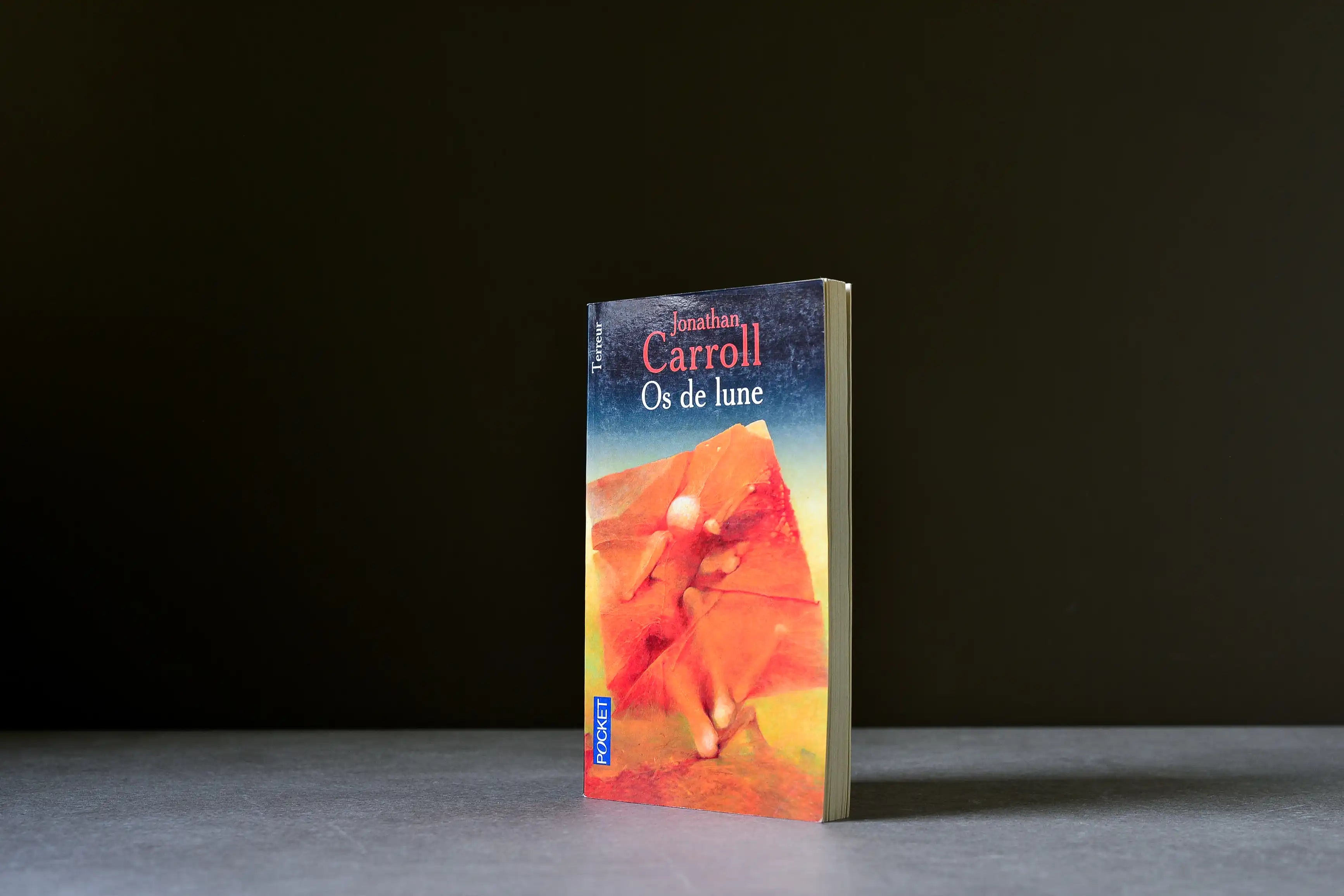 Carroll, Jonathan - Os de lune - Pocket - 9782266098779 - Très bon -  livre usagé
