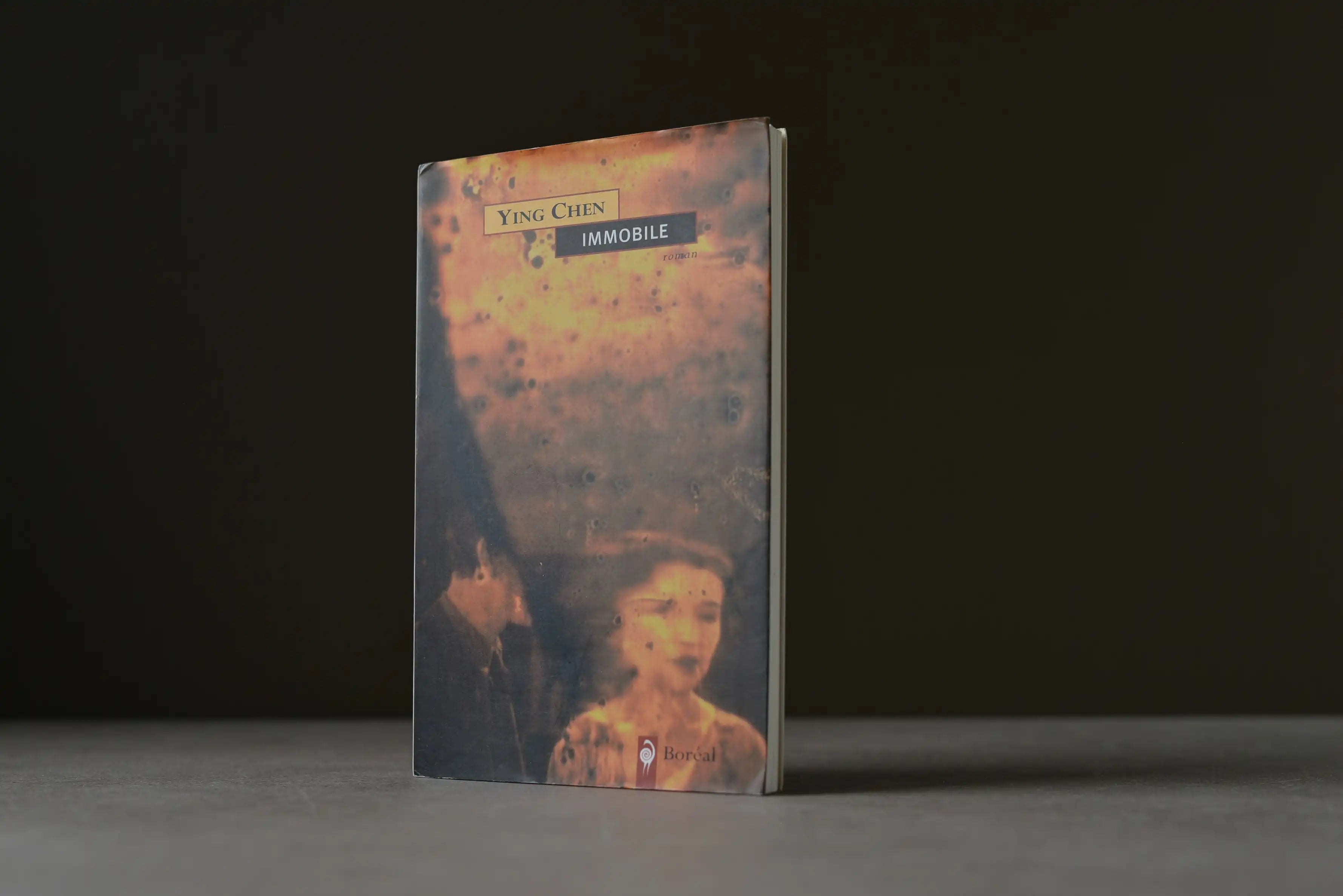 Chen, Ying - IMMOBILE - Boréal - 9782890529298 - Bon -  livre usagé
