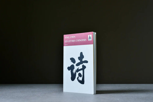 Chen, Ying - Les lettres chinoises - Babel - 9782742719556 - Bon - livre usagé