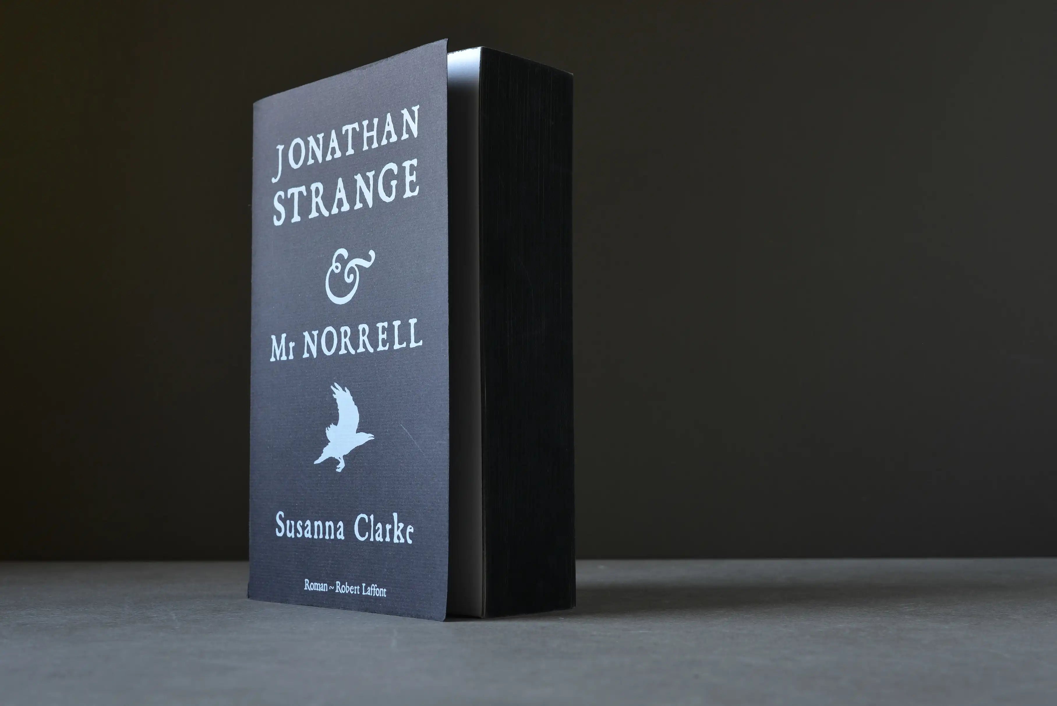 Clarke, Susanna - Jonathan Strange & Mr Norrell - Robert Laffont - 9782221108871 - Très bon -  livre usagé