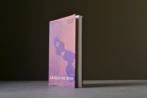 Dawson, Caroline - Là où je me terre - Remue-ménage - 9782890917194 - Bon - livre usagé