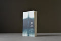 DeLillo, Don - L'Ange Esmeralda - Babel - 9782330081799 - Bon -  livre usagé