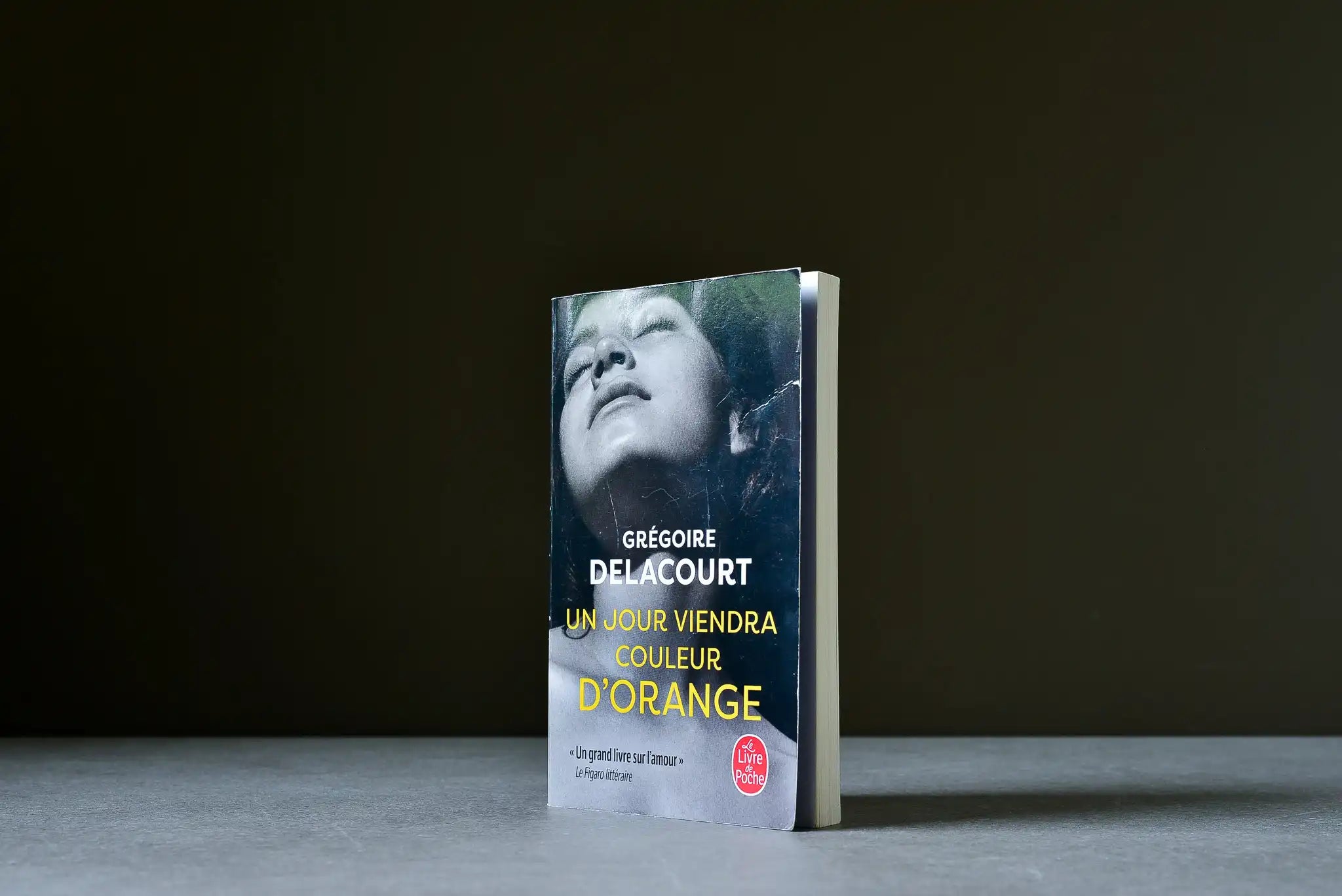 Delacourt, Grégoire - Un jour viendra couleur d'orange - Le Livre de poche - 9782253078760 - Bon - livre usagé
