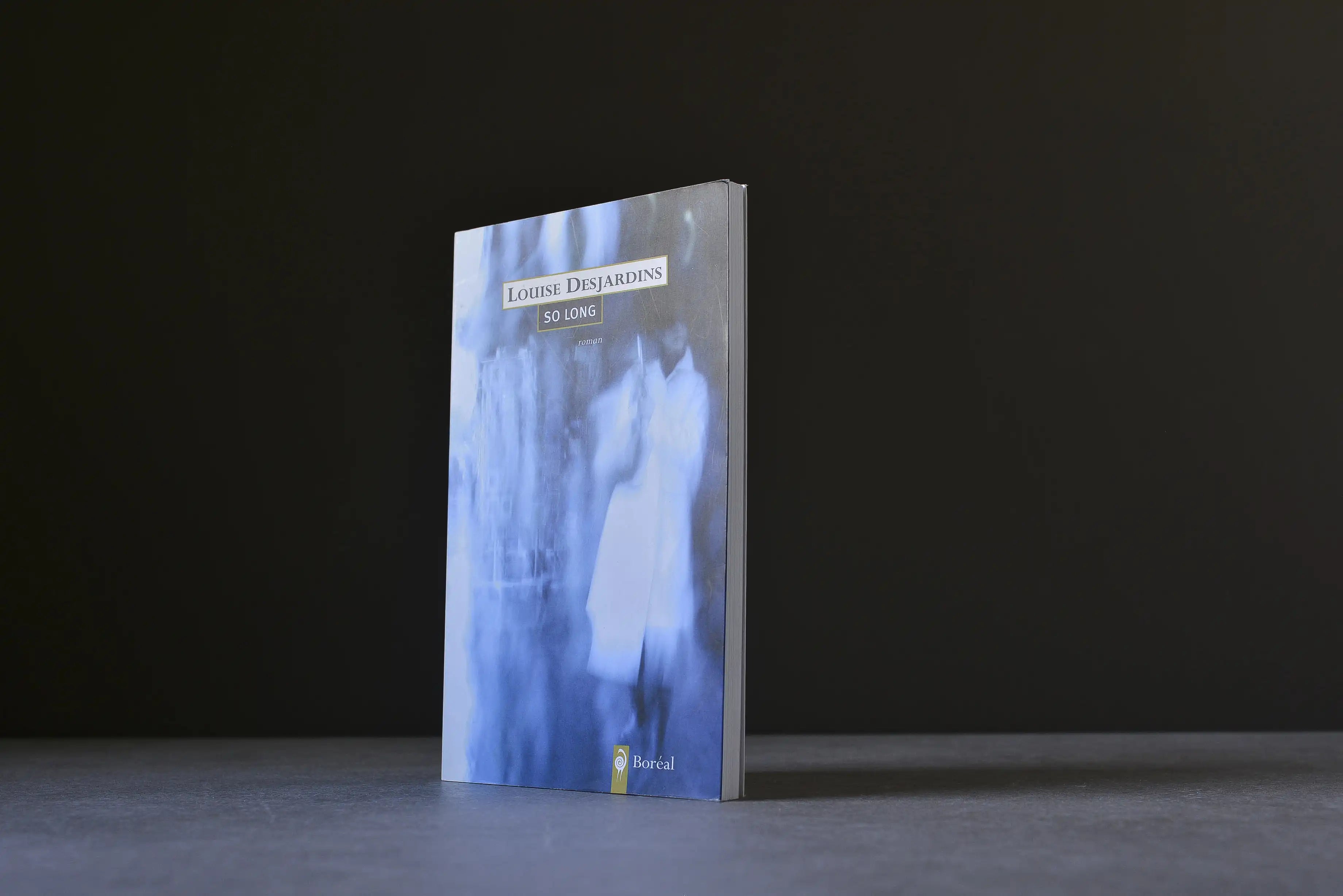 Desjardins, Louise - So Long  - Boréal - 9782764603543 - Bon+ -  livre usagé