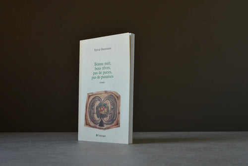 Desrosiers, Sylvie - Bonne nuit, bons rêves, pas de puces, pas de punaises - Triptyque - 9782890312098 - Assez bon -  livre usagé