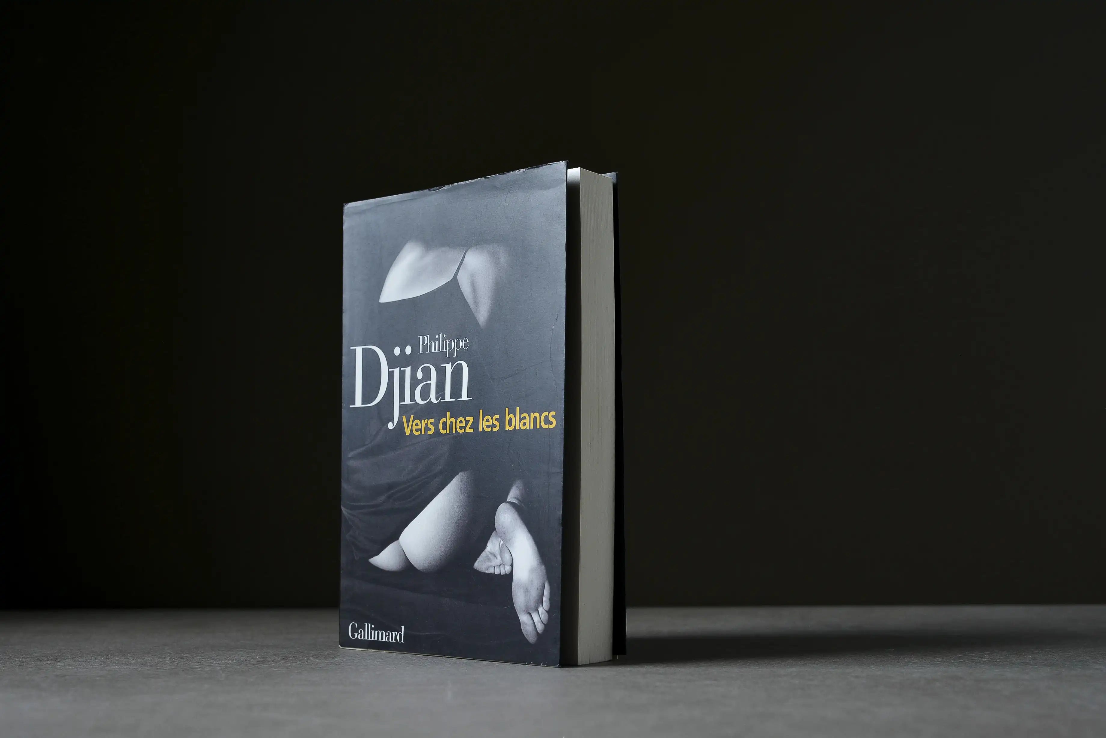 Djian, Philippe - Vers chez les blancs  - Gallimard - 9782070754625 - Bon+ -  livre usagé