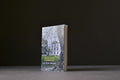 Domenach, Léa - Les Murs Blancs - Libretto - 9782369148791 - Très bon -  livre usagé