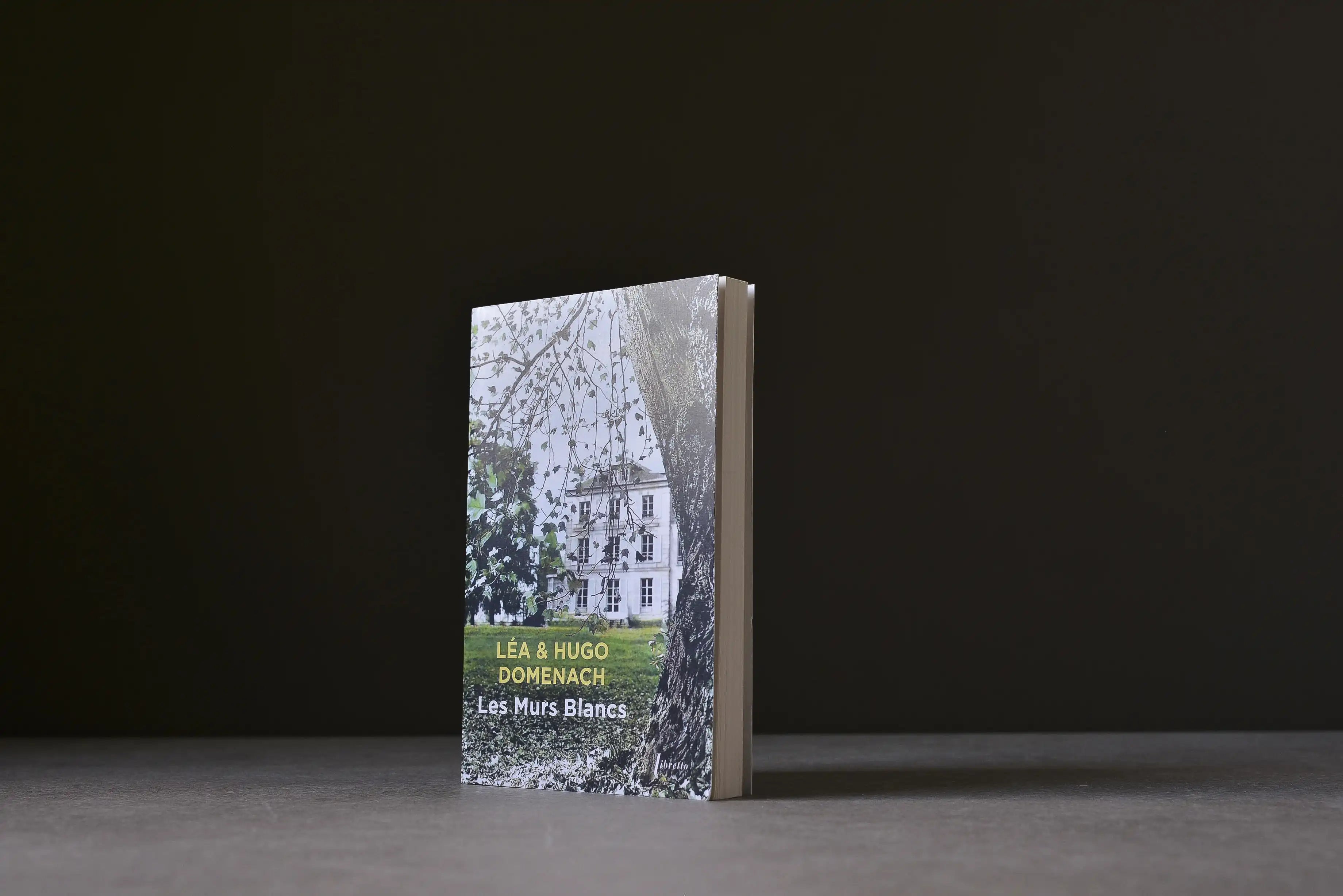 Domenach, Léa - Les Murs Blancs - Libretto - 9782369148791 - Très bon -  livre usagé