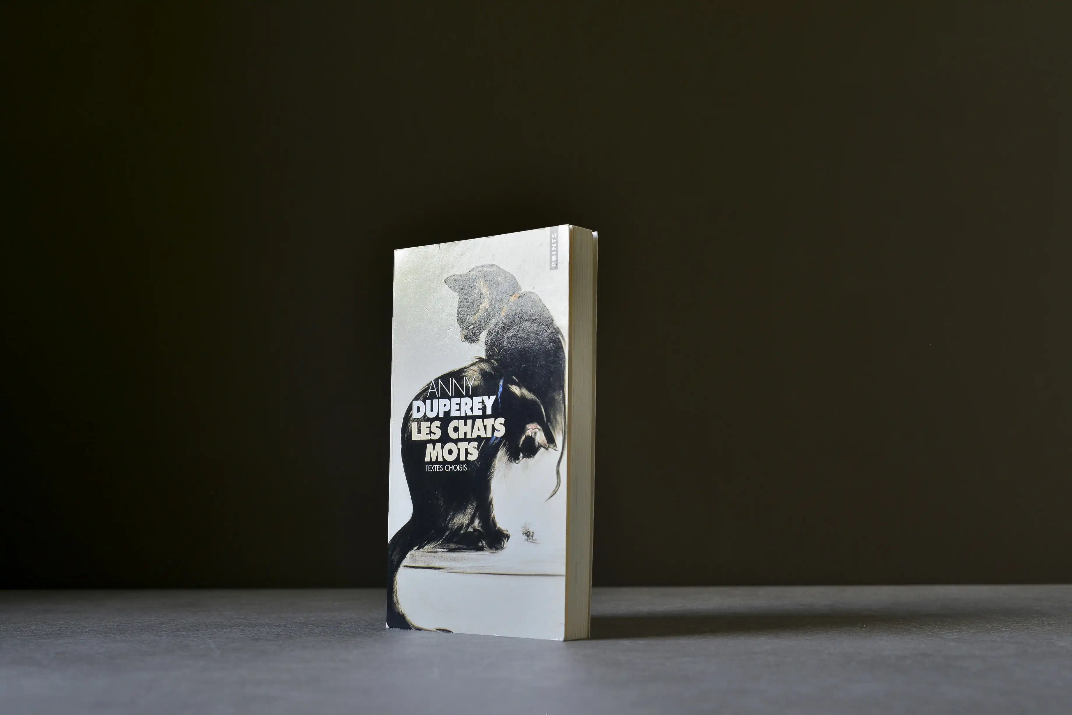 Duperey, Anny - Les chats mots - Points - 9782020662024 - Très bon -  livre usagé