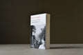 Ferrante, Elena - L'amie prodigieuse, tome 4 : L'enfant perdue - Folio - 9782072740589 - Très bon -  livre usagé