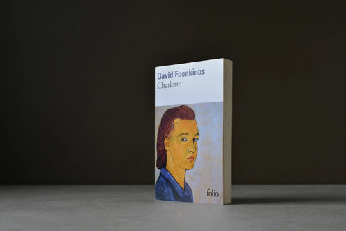 Foenkinos, David - Charlotte - Folio - 9782070469239 - Bon+ -  livre usagé
