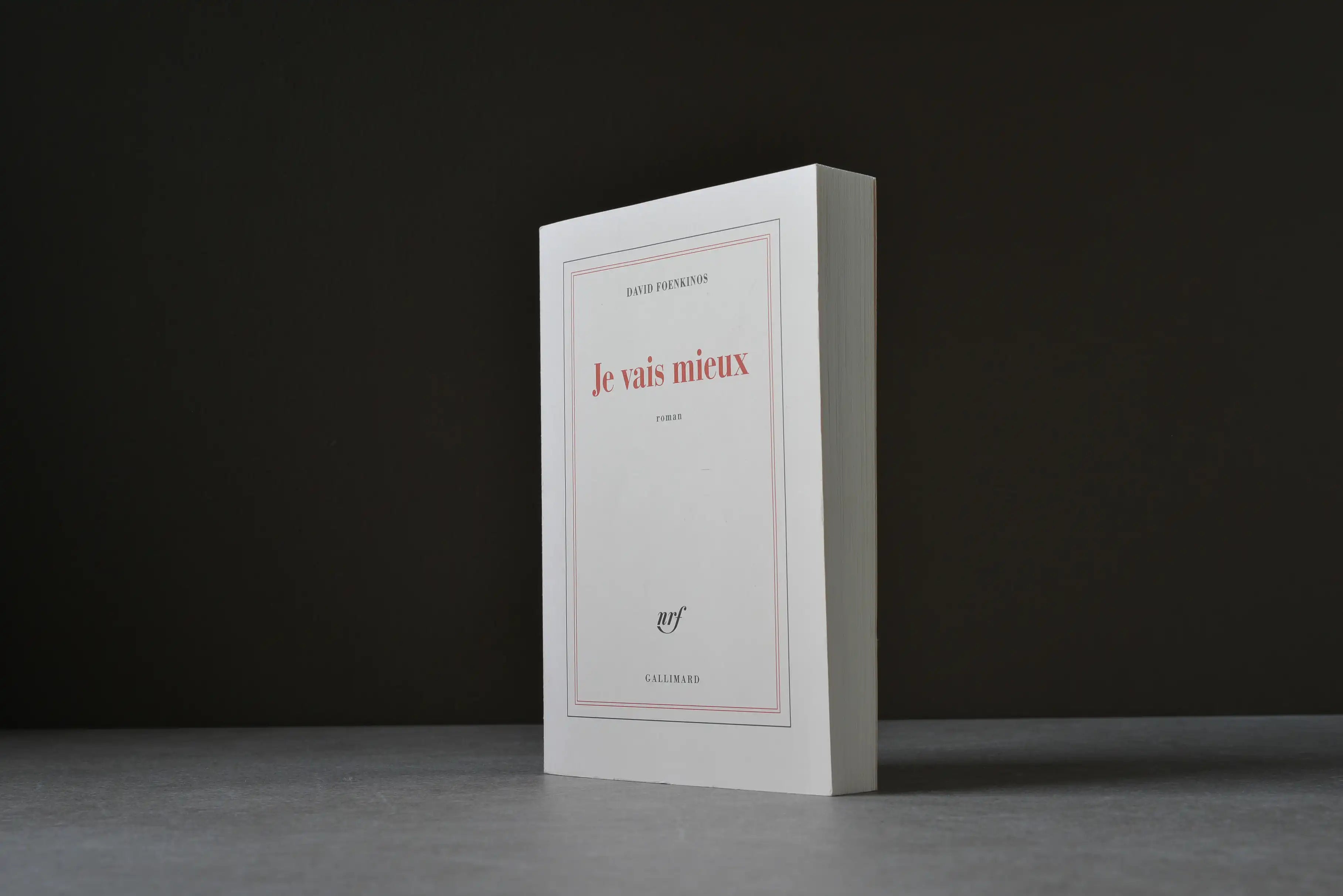 Foenkinos, David - Je vais mieux - Gallimard - 9782070140107 - Bon -  livre usagé
