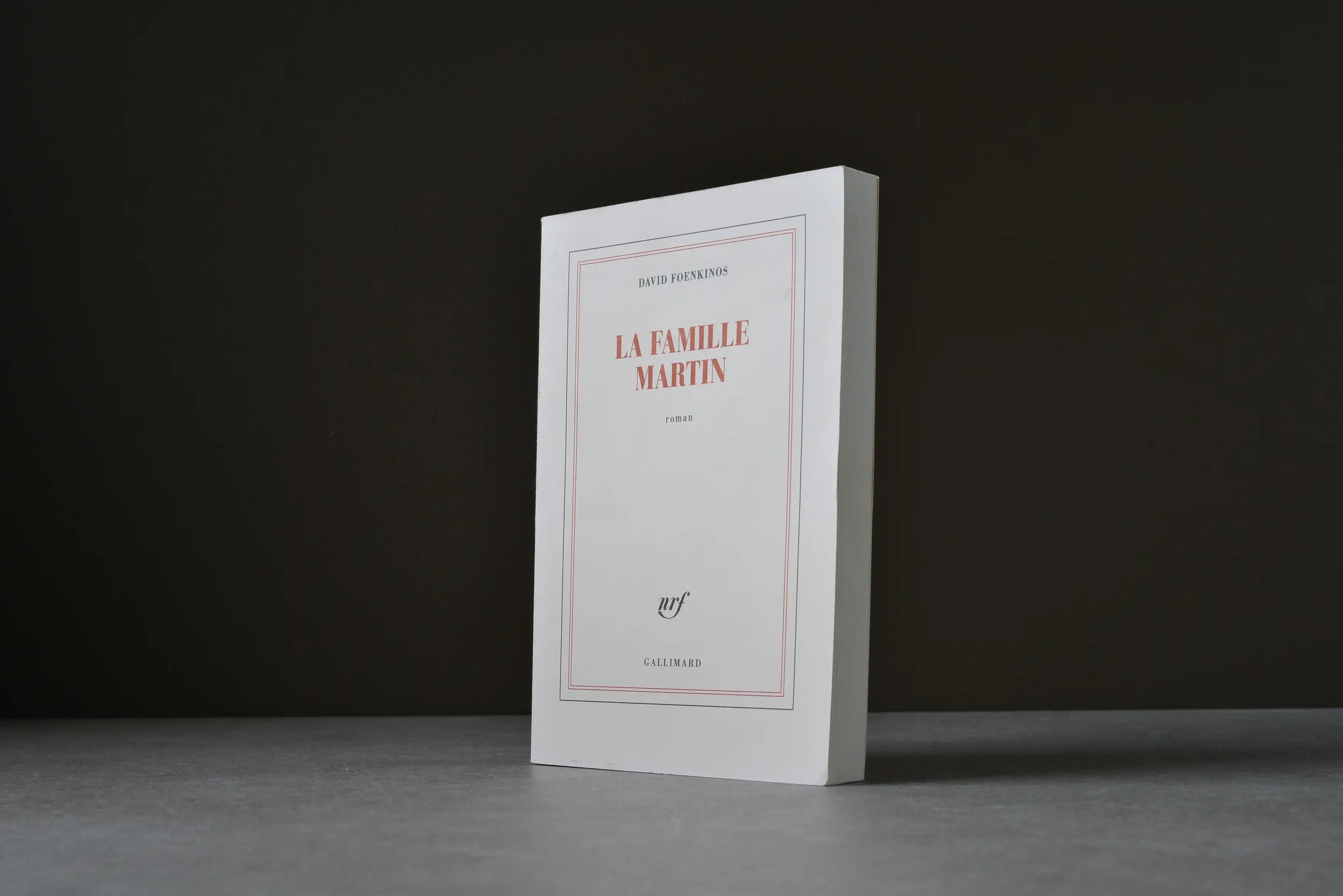 Foenkinos, David - La famille Martin - Gallimard - 9782072913068 - Bon -  livre usagé