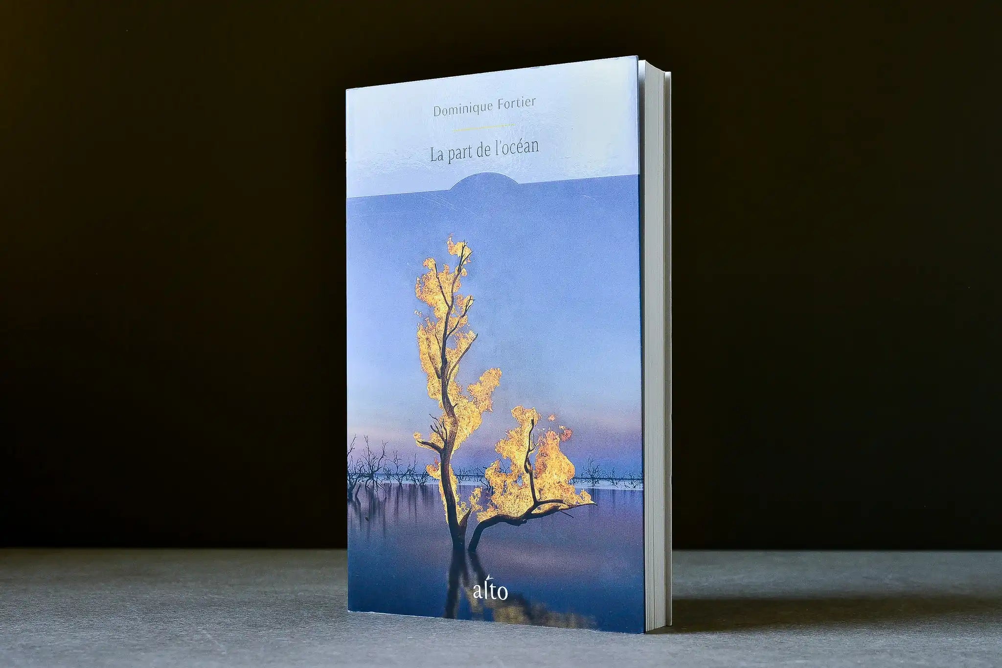 Fortier, Dominique - La part de l'océan - Alto - 9782896946648 - Très bon - livre usagé