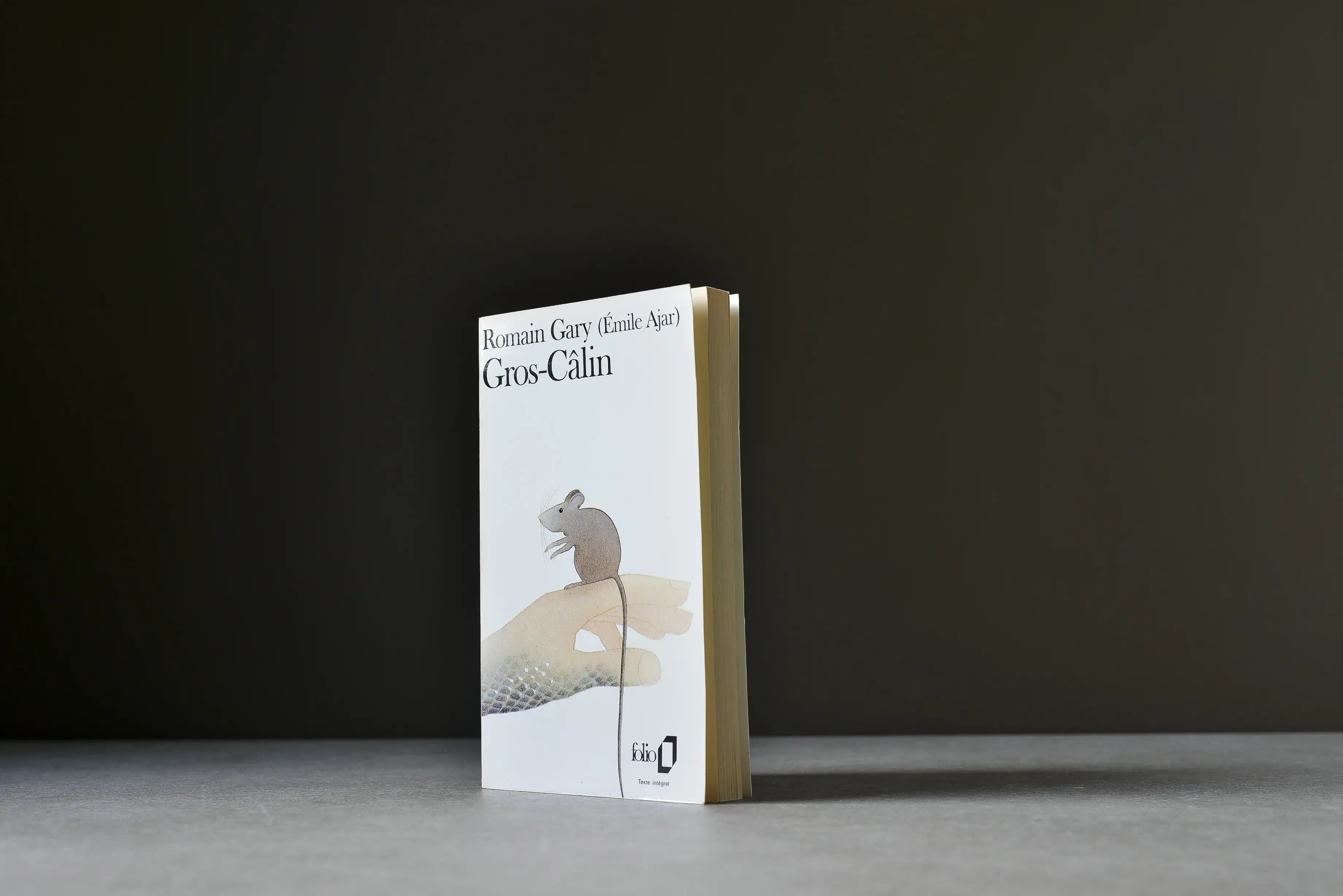 Gary, Romain - Gros-Câlin - Folio - 9782979369065 - Assez bon -  livre usagé