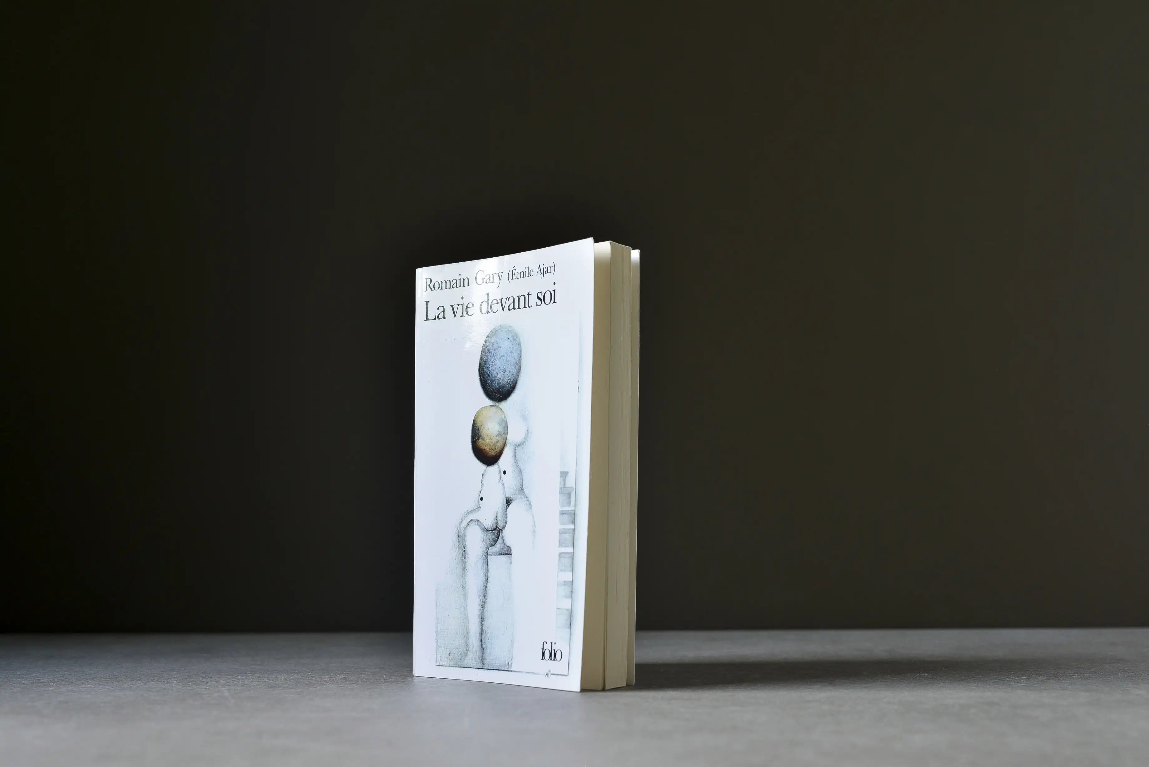 Gary, Romain - La vie devant soi - Folio - 9782070373628 - Assez bon -  livre usagé