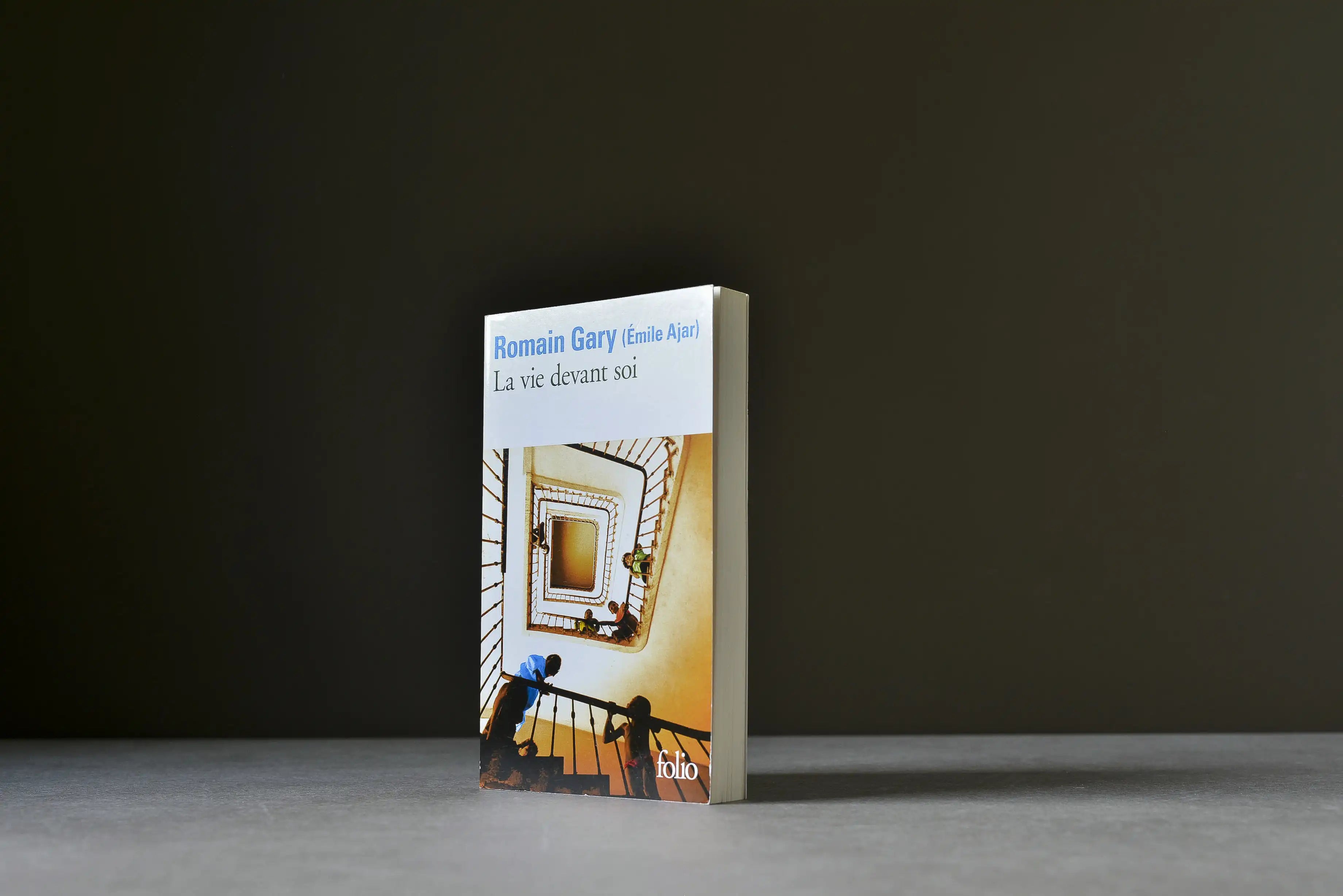 Gary, Romain - La vie devant soi - Folio - 9782070373628 - Très bon -  livre usagé