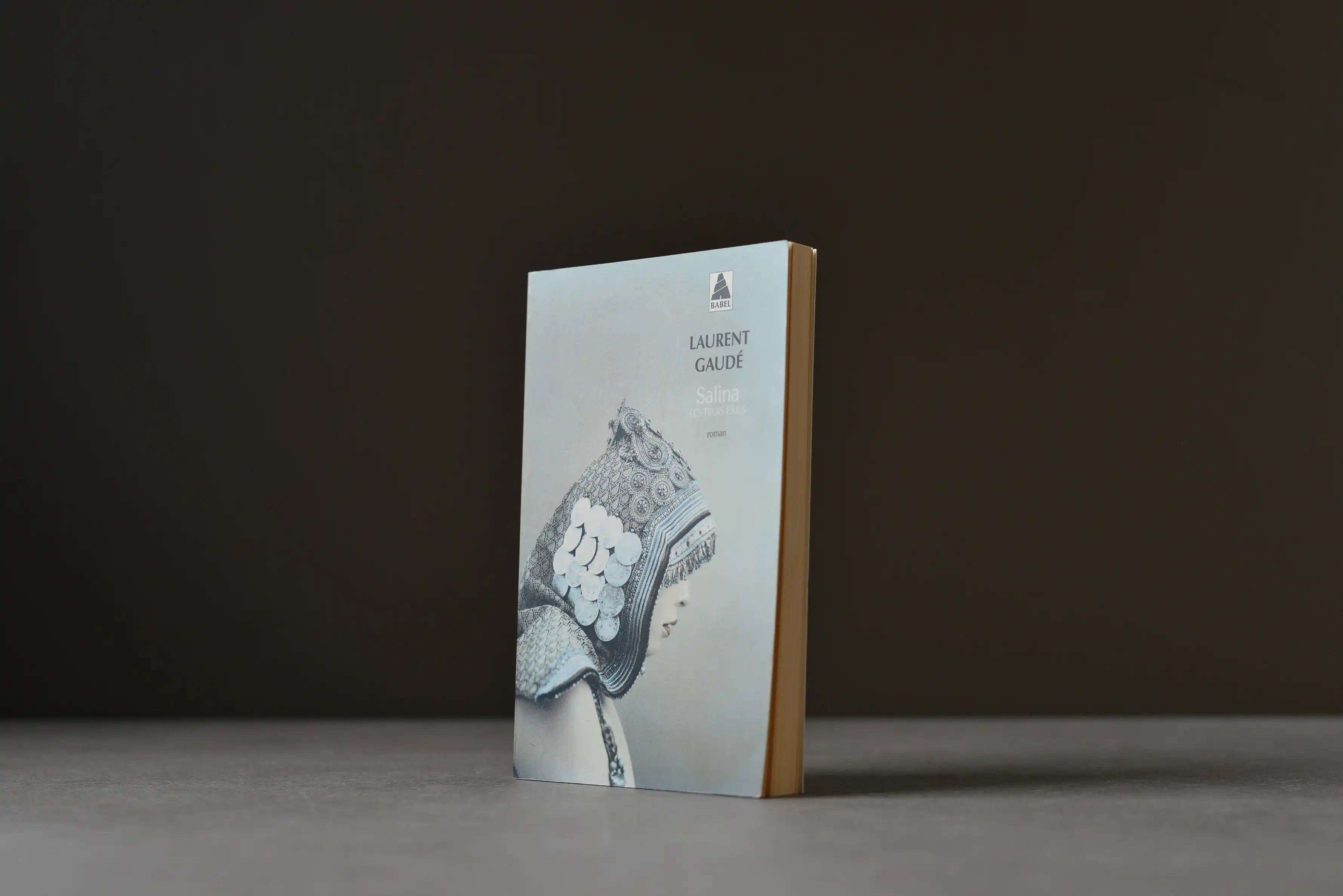 Gaudé, Laurent - Salina : les trois exils - Babel - 9782330141004 - Bon -  livre usagé