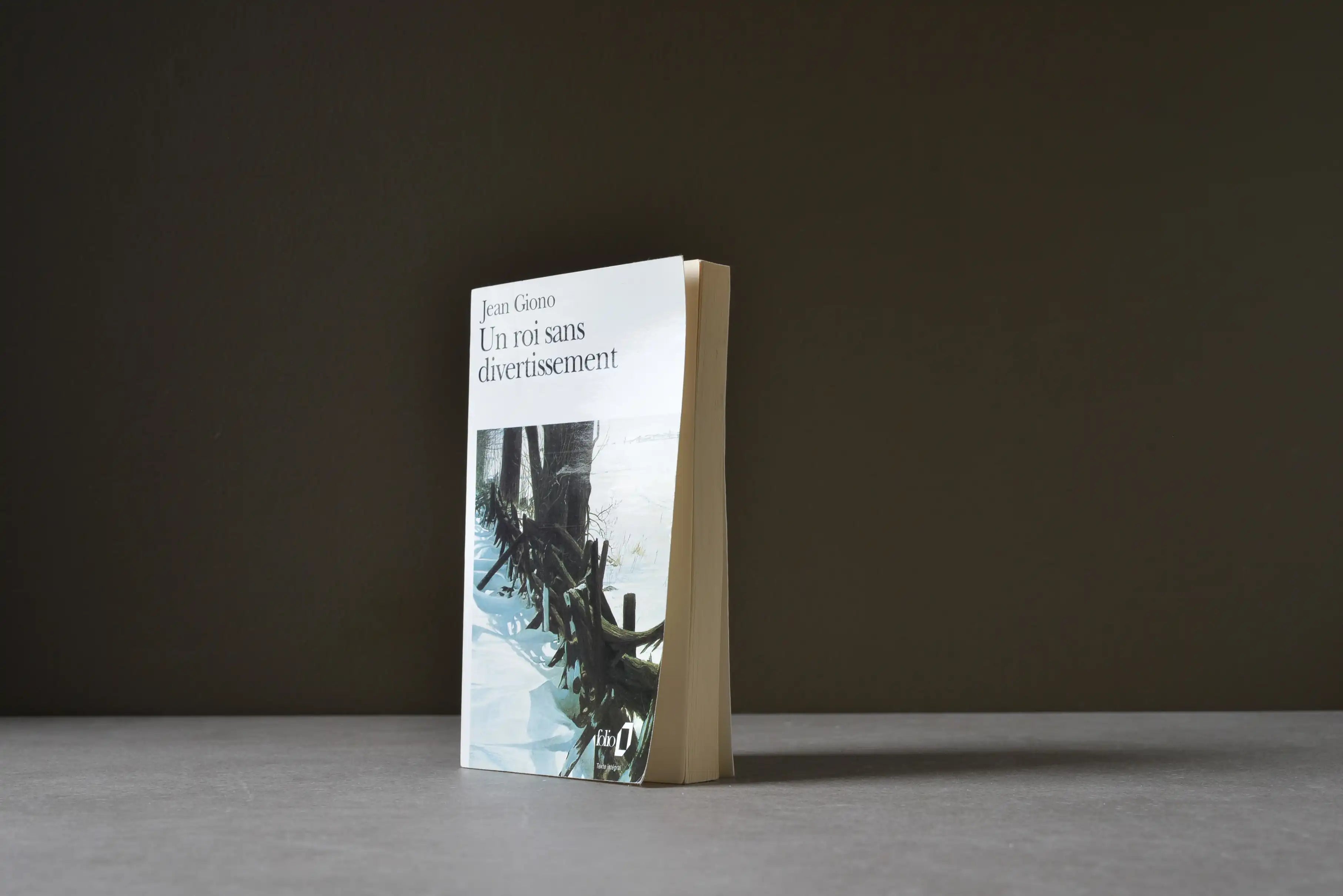 Giono, Jean - Un roi sans divertissement - Folio - 9782070362202 - Assez bon -  livre usagé