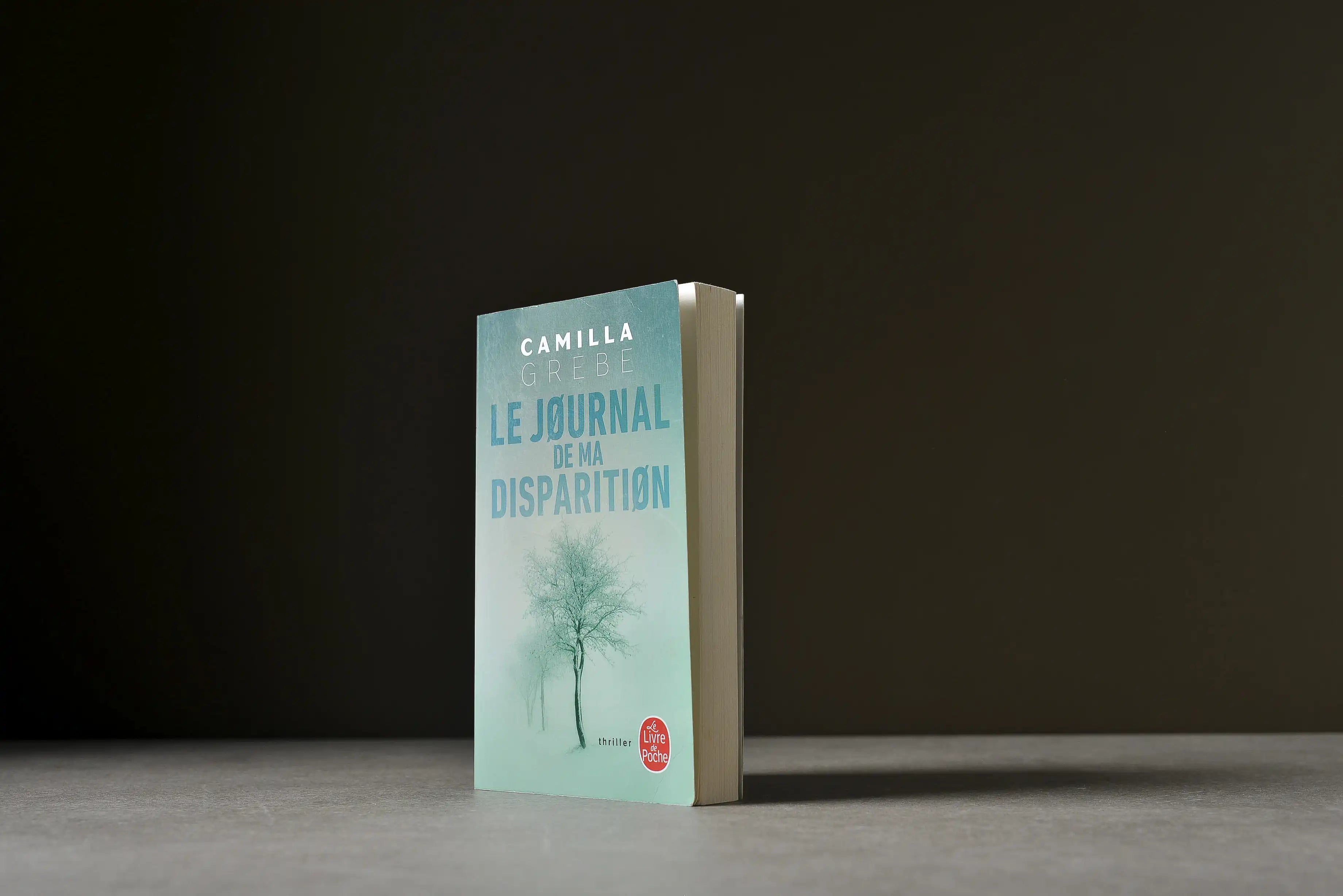 Grebe, Camilla - Le journal de ma disparition - Livre de poche - 9782253092711 - Bon -  livre usagé