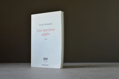 Hamelin, Louis - Ces spectres agités - XYZ - 9782892610383 - Très bon -  livre usagé