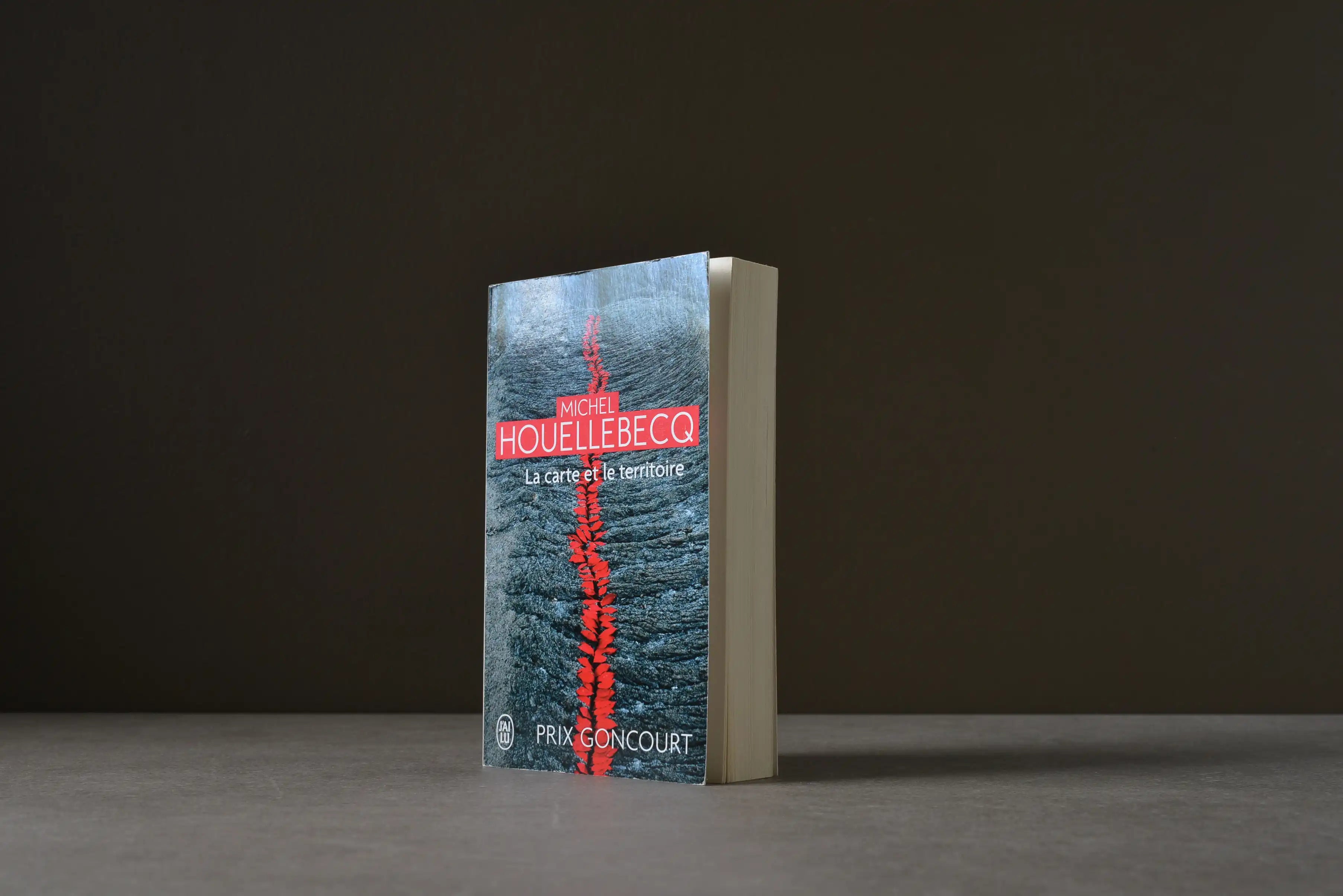 Houellebecq, Michel - La carte et le territoire - J'ai lu - 9782290032039 - Bon -  livre usagé