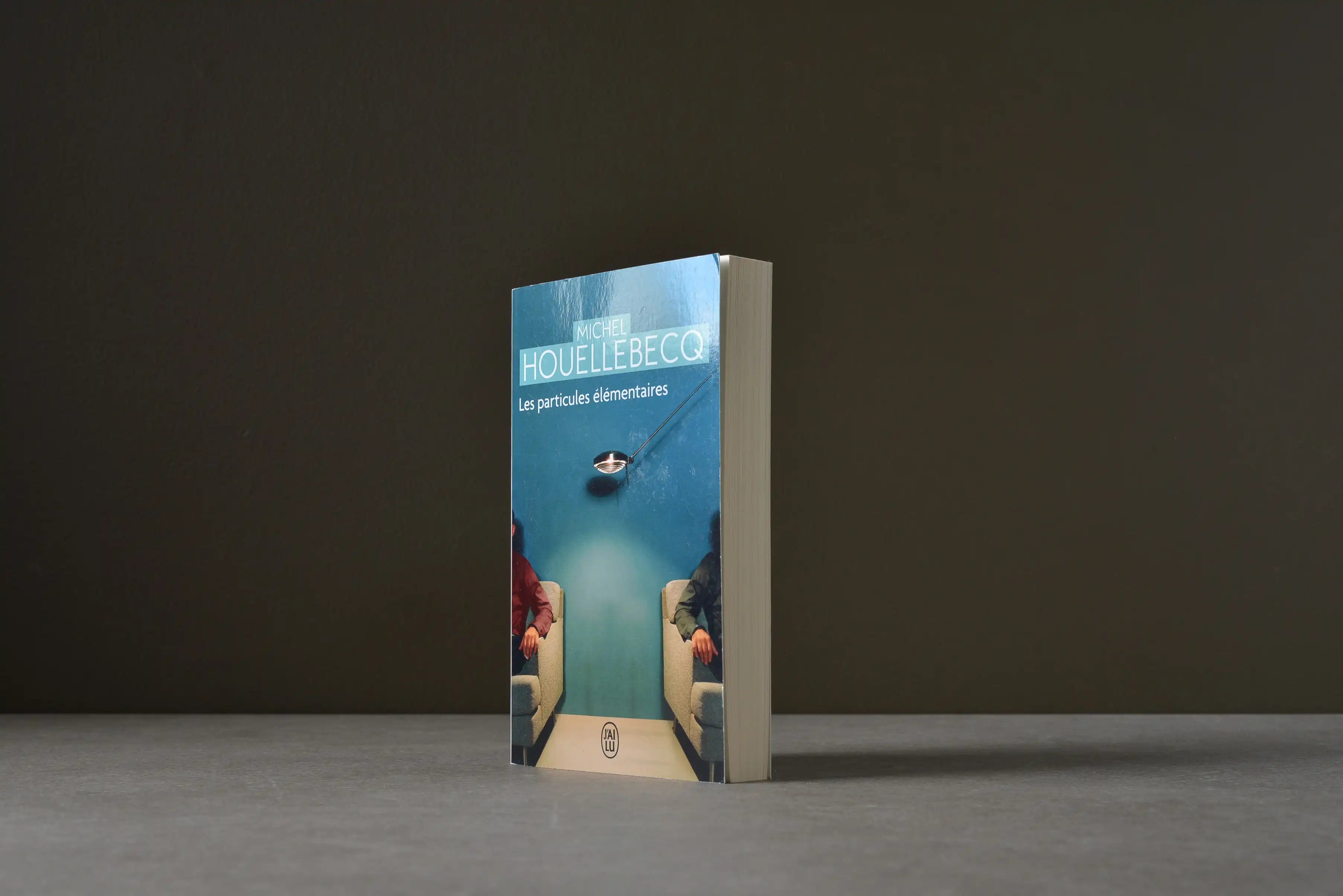 Houellebecq, Michel - Les particules élémentaires - J'ai lu - 9782290028599 - Très bon -  livre usagé