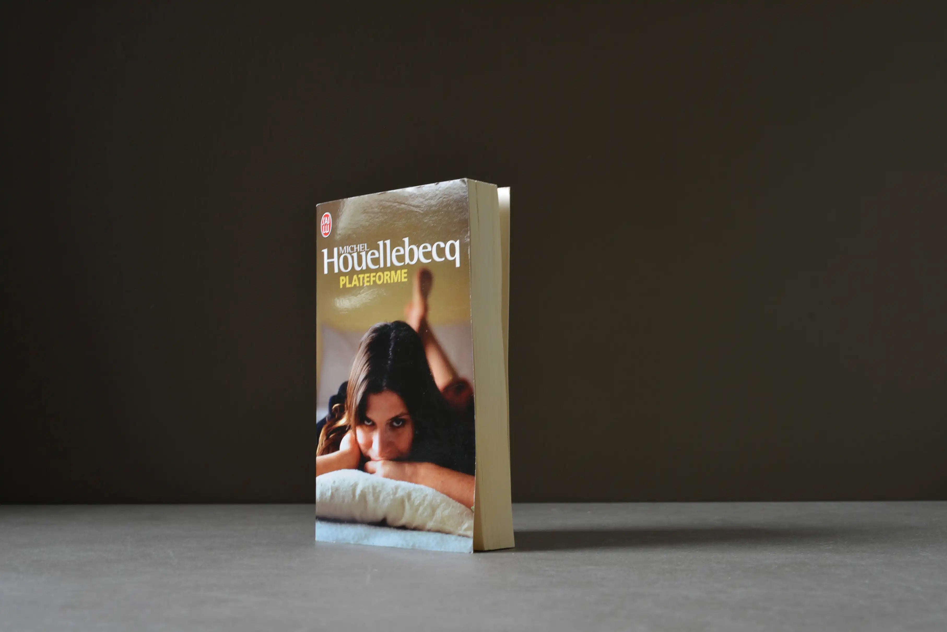 Houellebecq, Michel - Plateforme - J'ai lu - 9782290028520 - Bon -  livre usagé