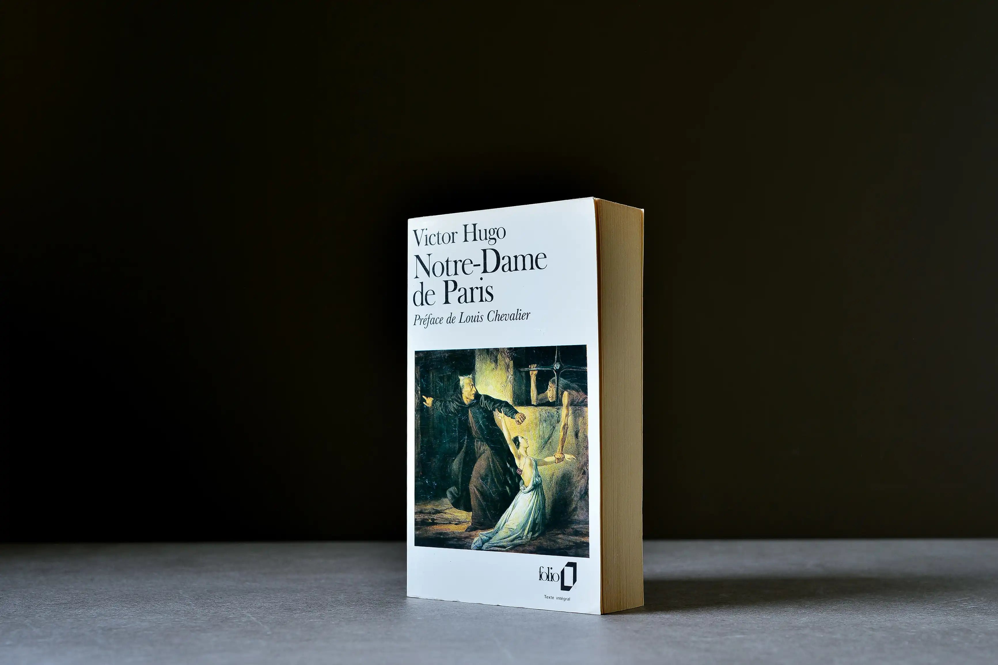 Hugo,Victor - Notre-Dame de Paris - Folio - 9782070365494 - Bon -  livre usagé