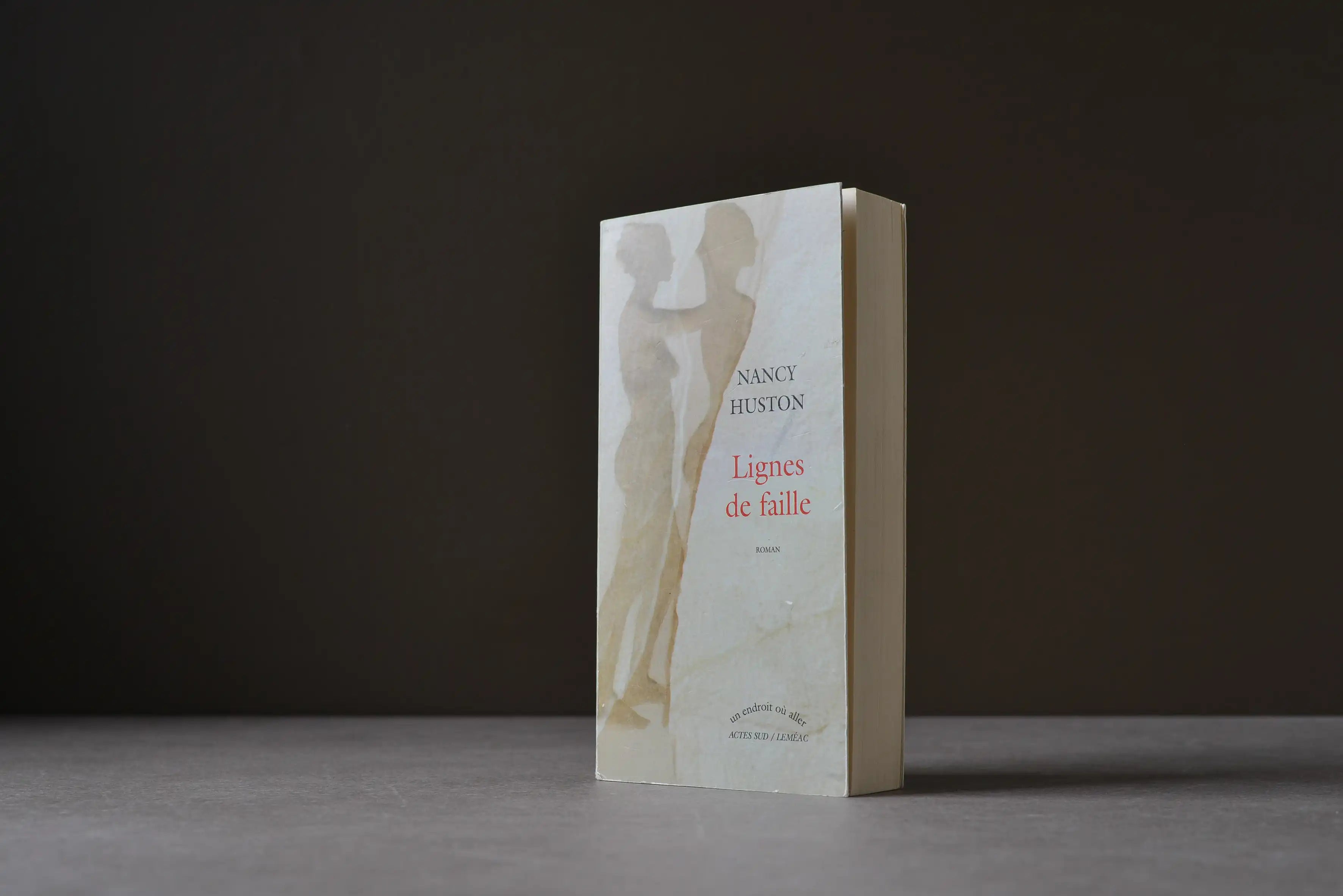 Huston, Nancy - Lignes de faille - Actes Sud / Léméac - 9782760926042 - Bon -  livre usagé