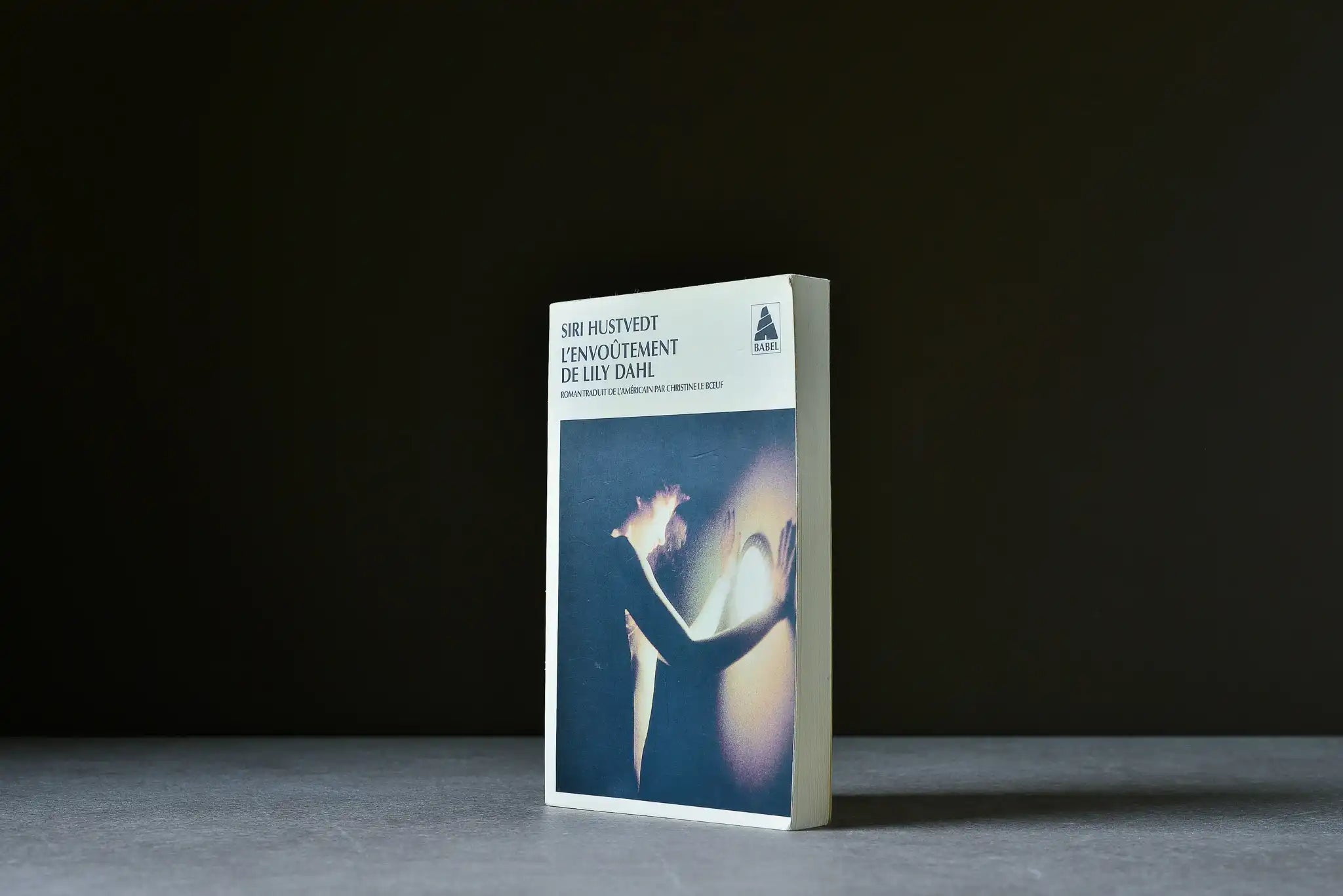 Hustvedt, Siri - L'envoûtement de Lily Dahl - Babel - 9782742722785 - Satisfaisant - livre usagé