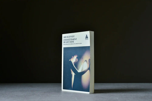 Hustvedt, Siri - L'envoûtement de Lily Dahl - Babel - 9782742722785 - Satisfaisant - livre usagé