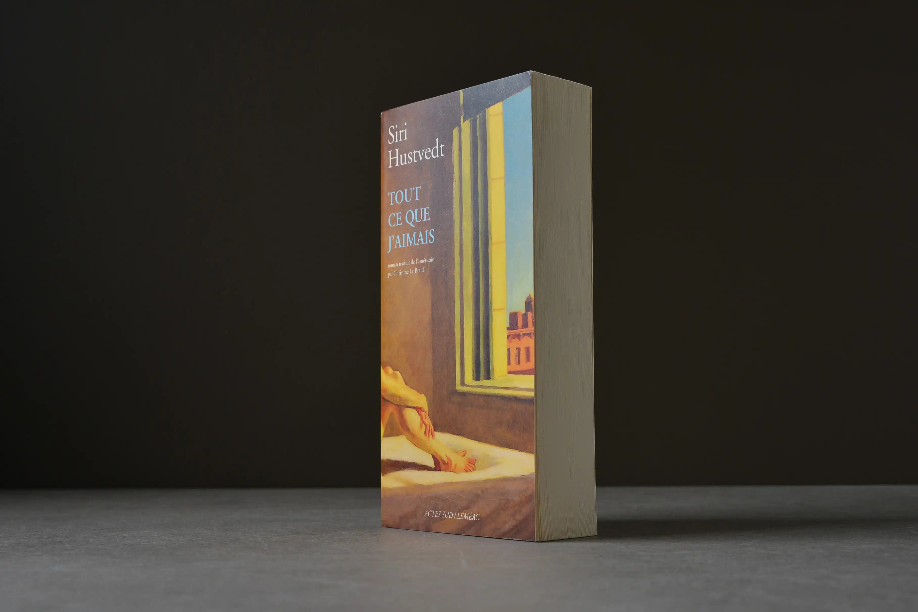 Hustvedt, Siri - Tout ce que j'aimais - Actes Sud - 9782760923270 - Très bon -  livre usagé